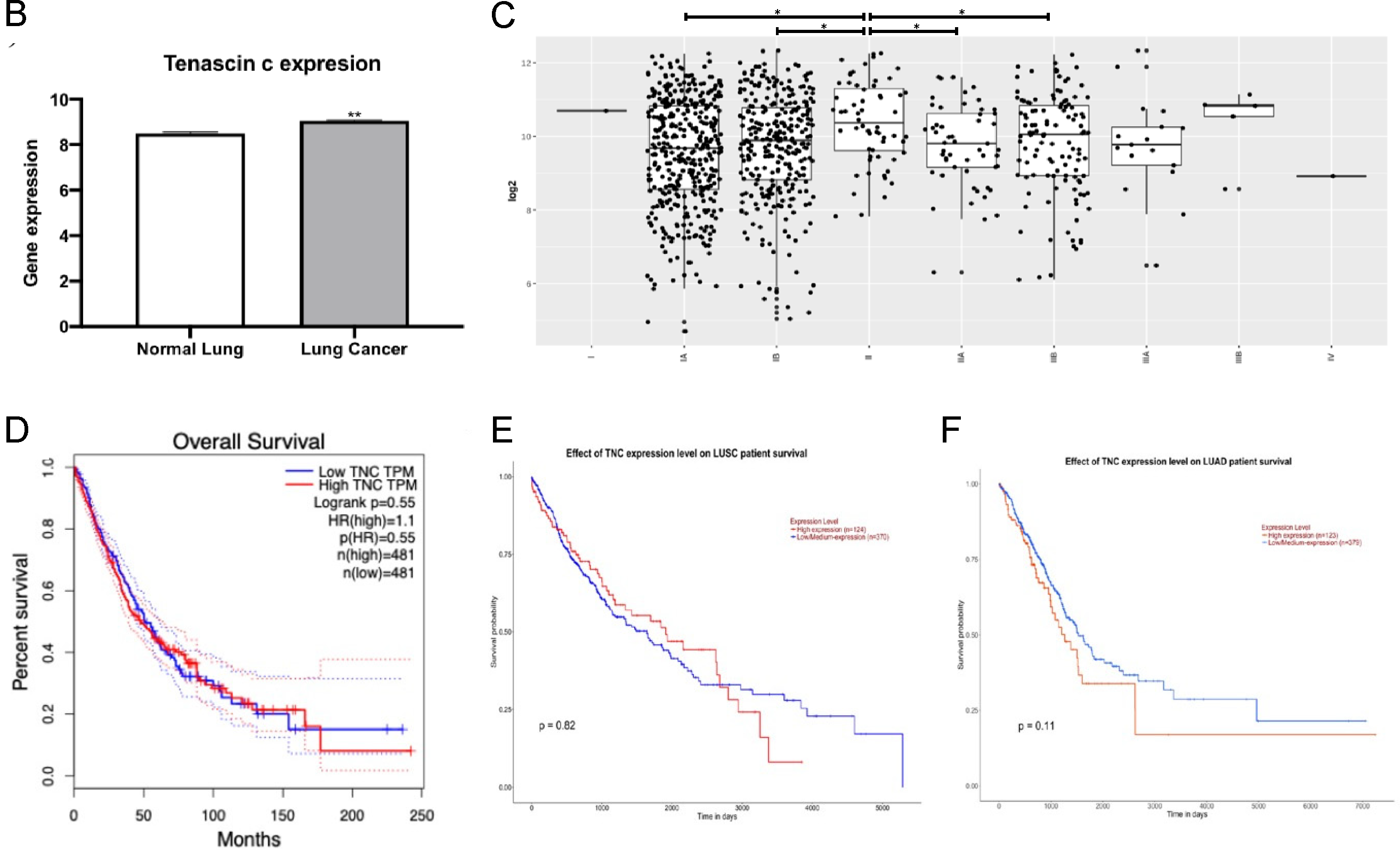 Biology 12 00199 g006b