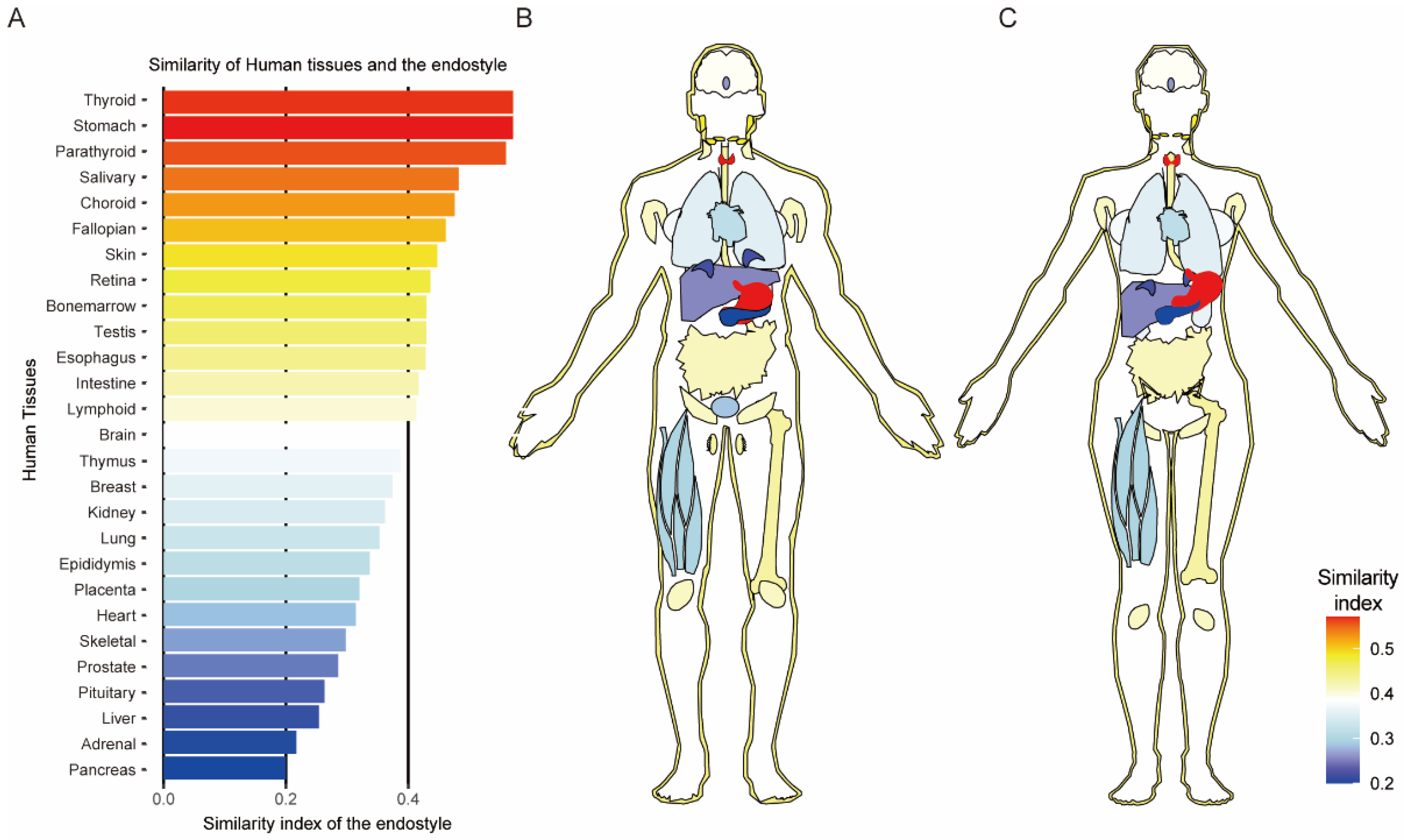 Biology 12 00245 g005 Biology 12 00245 g005