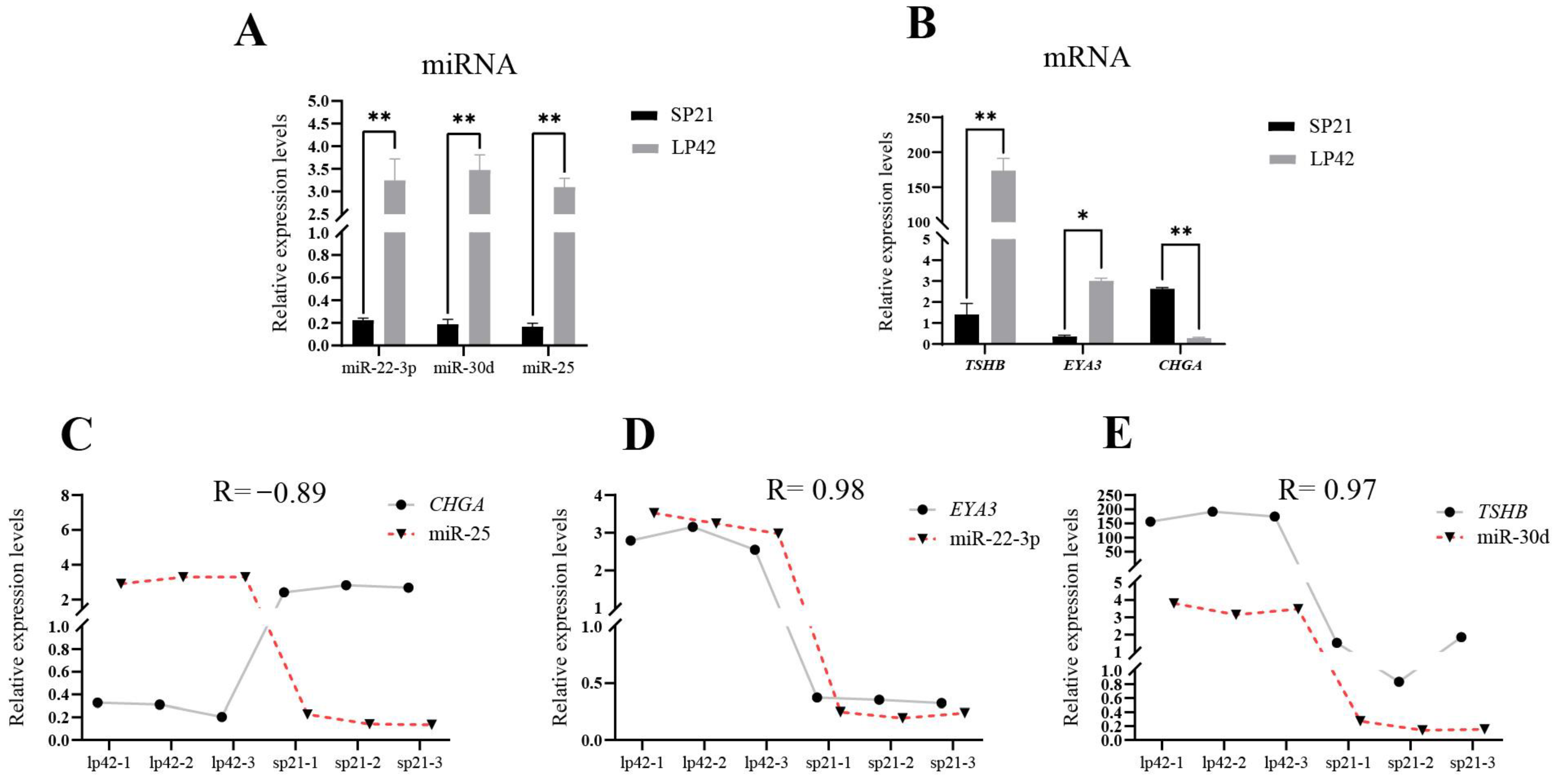 Biology 12 00250 g001
