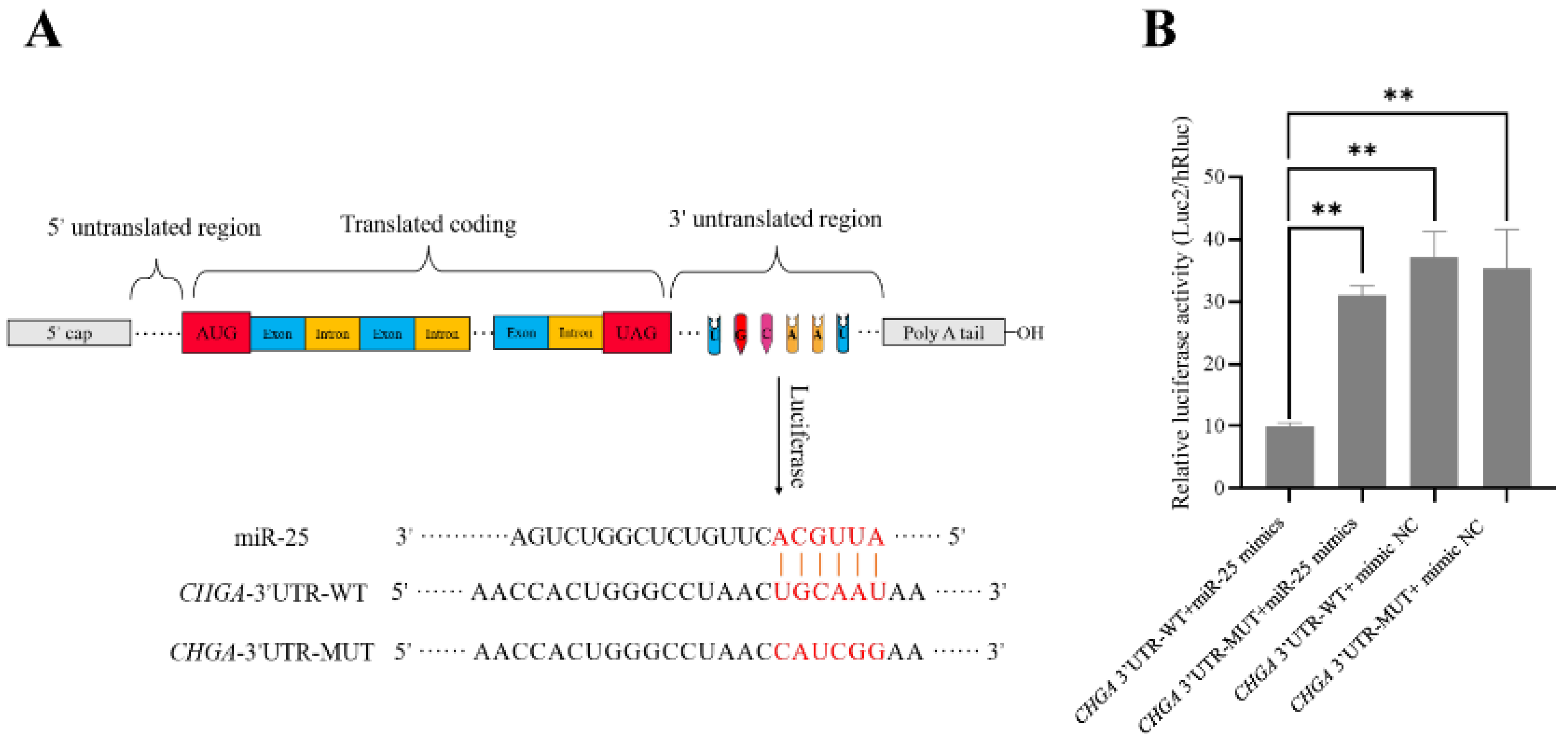 Biology 12 00250 g002