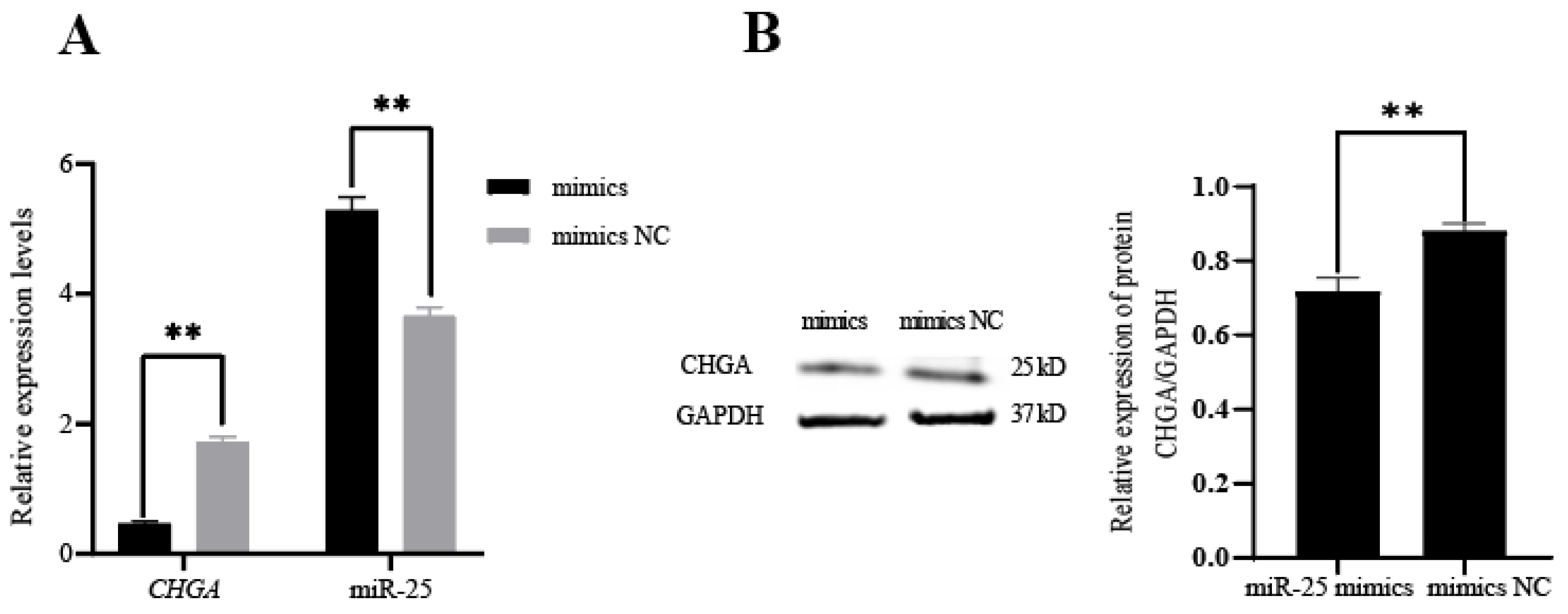 Biology 12 00250 g003
