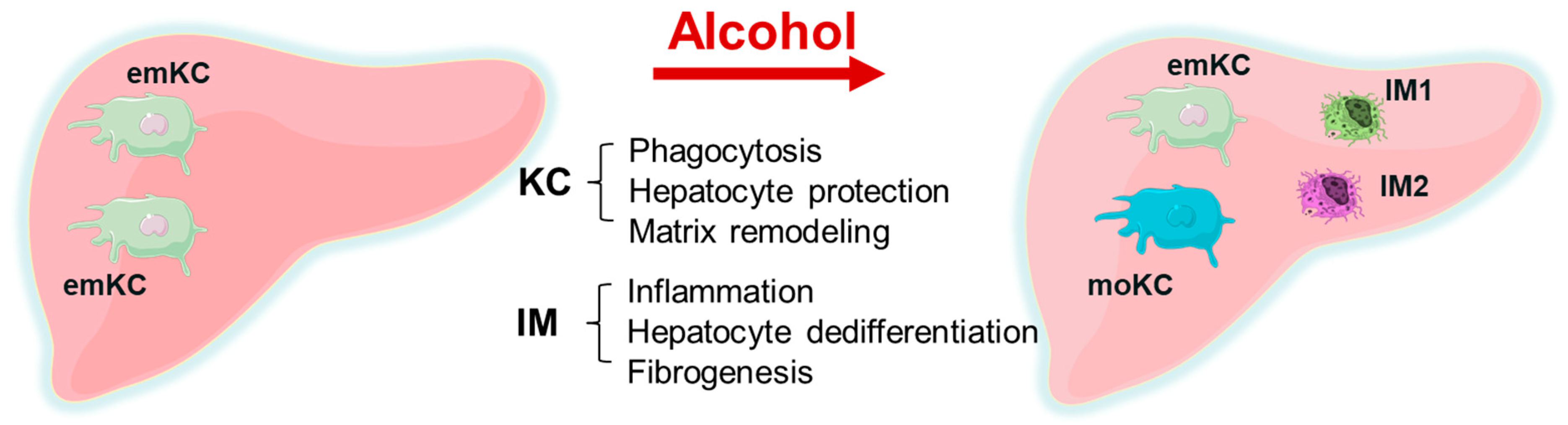 Biology 12 00255 g001 Biology 12 00255 g001