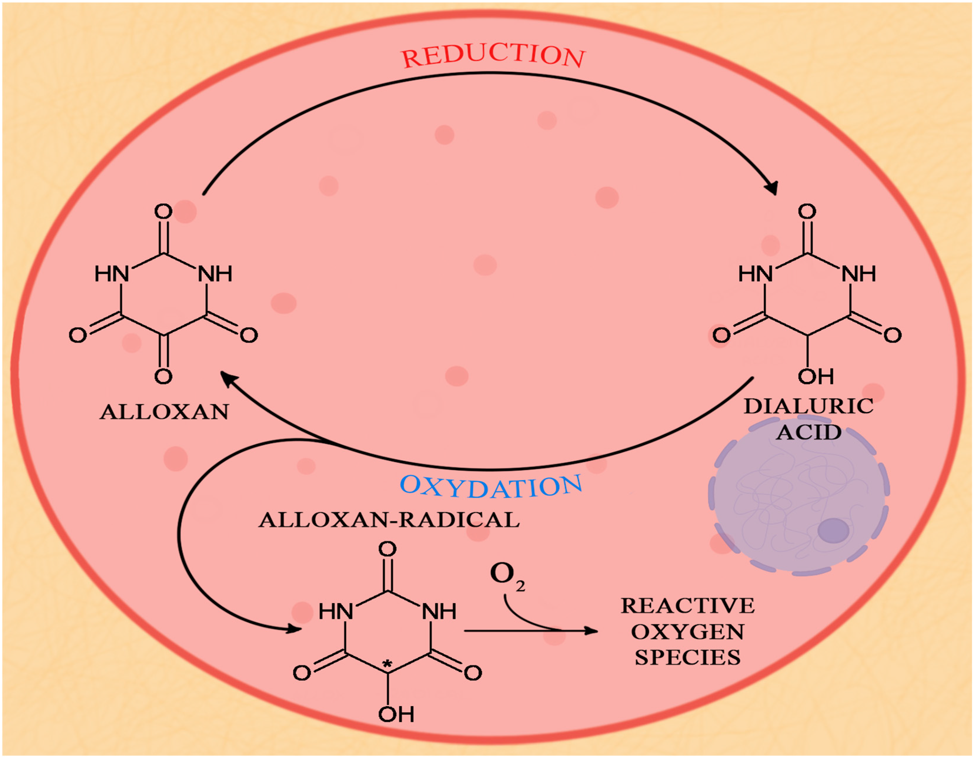 Biology 12 00262 g003 Biology 12 00262 g003