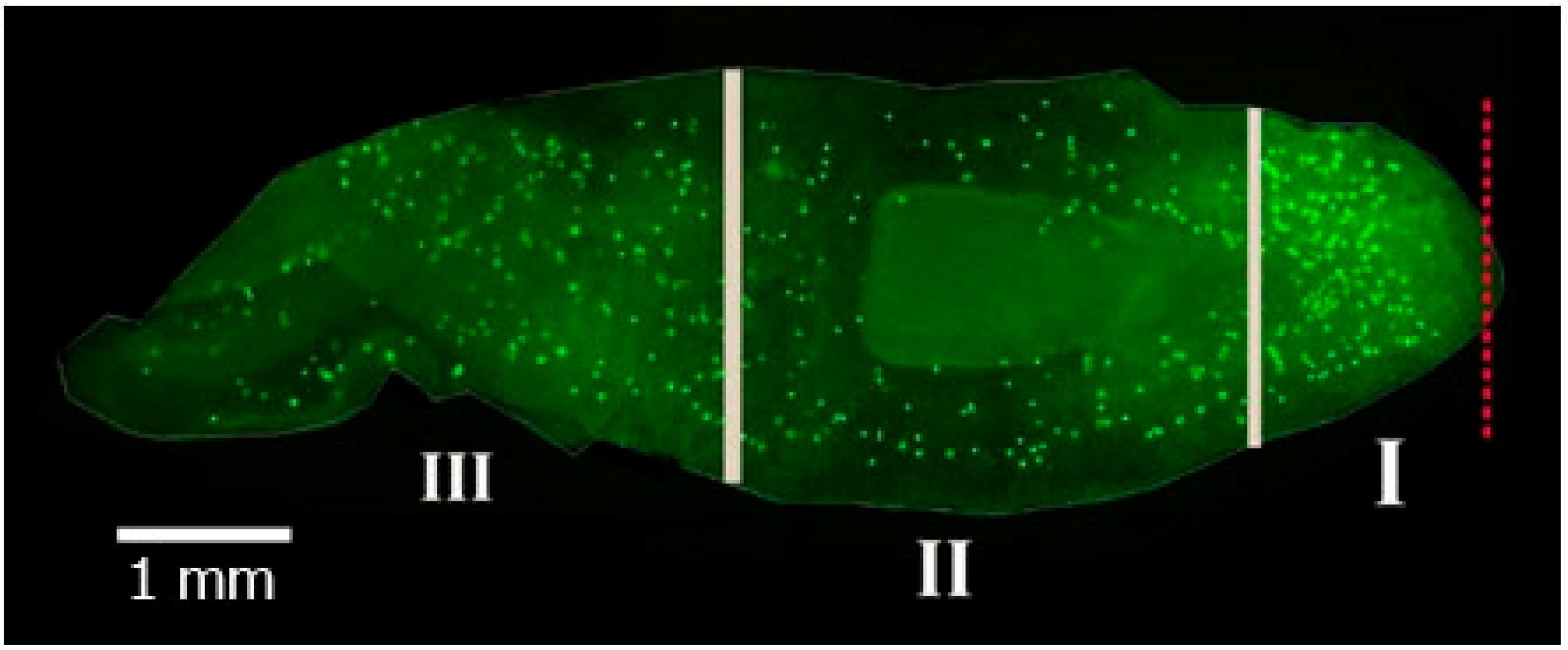 Biology 12 00292 g001