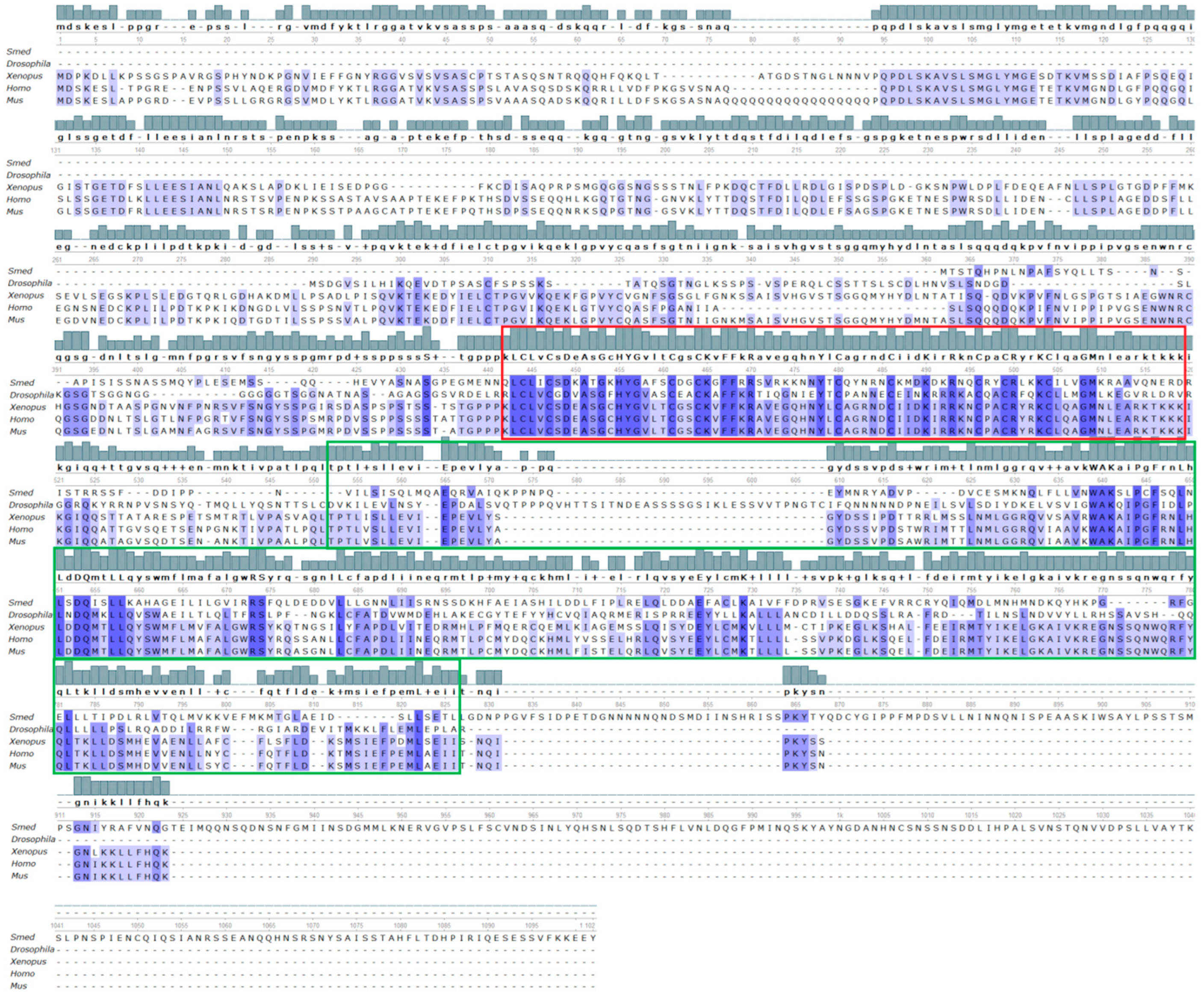 Biology 12 00292 g006