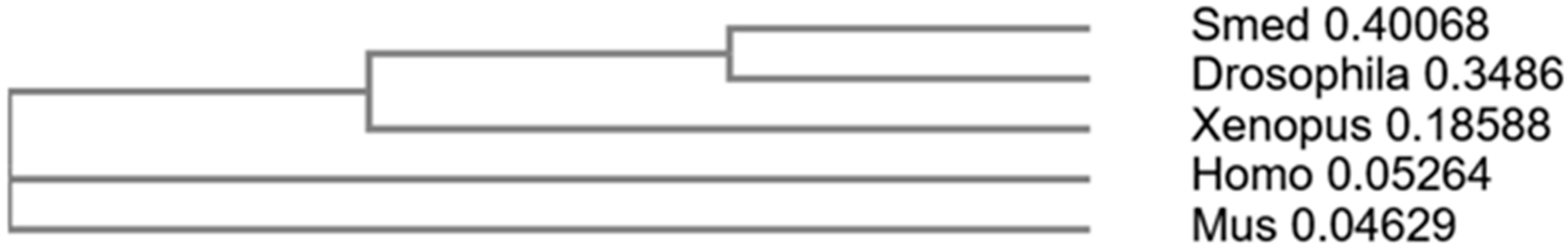 Biology 12 00292 g007