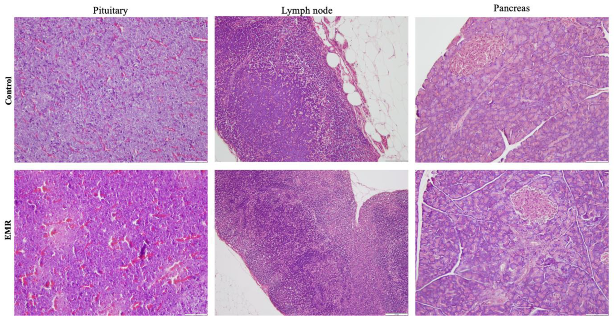 Biology 12 00310 g006 Biology 12 00310 g006