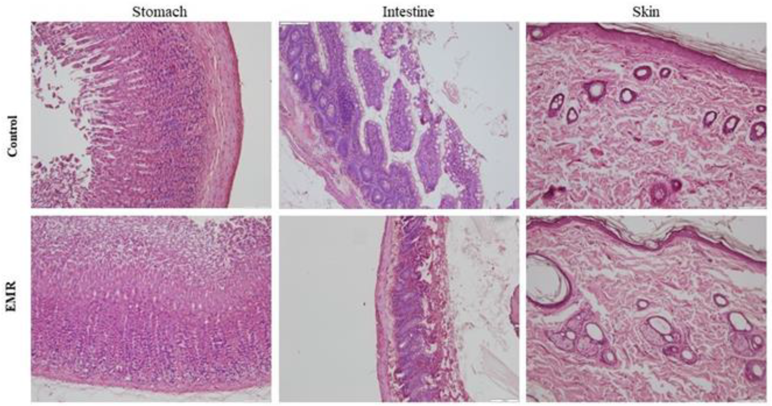 Biology 12 00310 g007 Biology 12 00310 g007