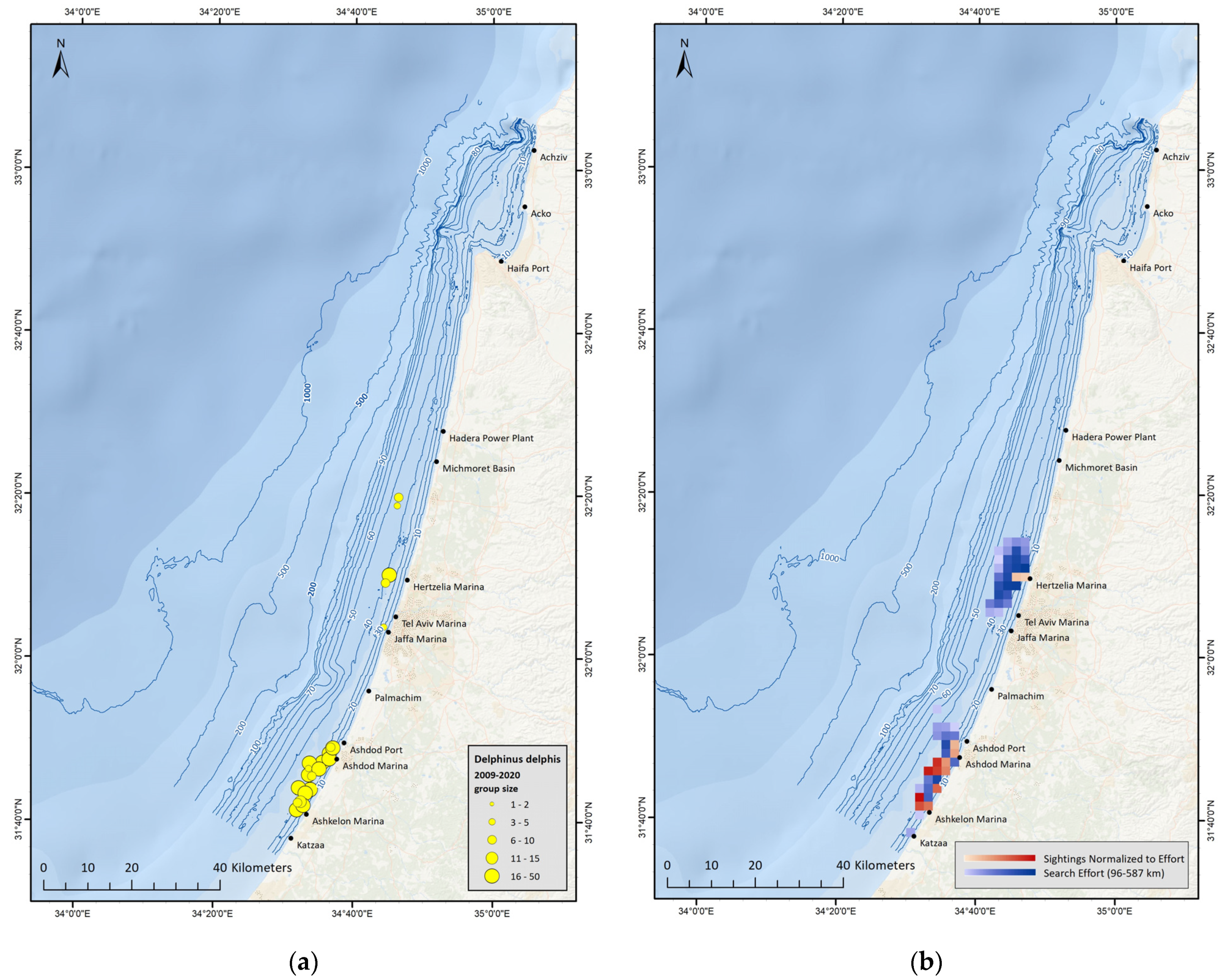 Biology | Free Full-Text | Two Decades of Coastal Dolphin Population  Surveys in Israel, Eastern Mediterranean
