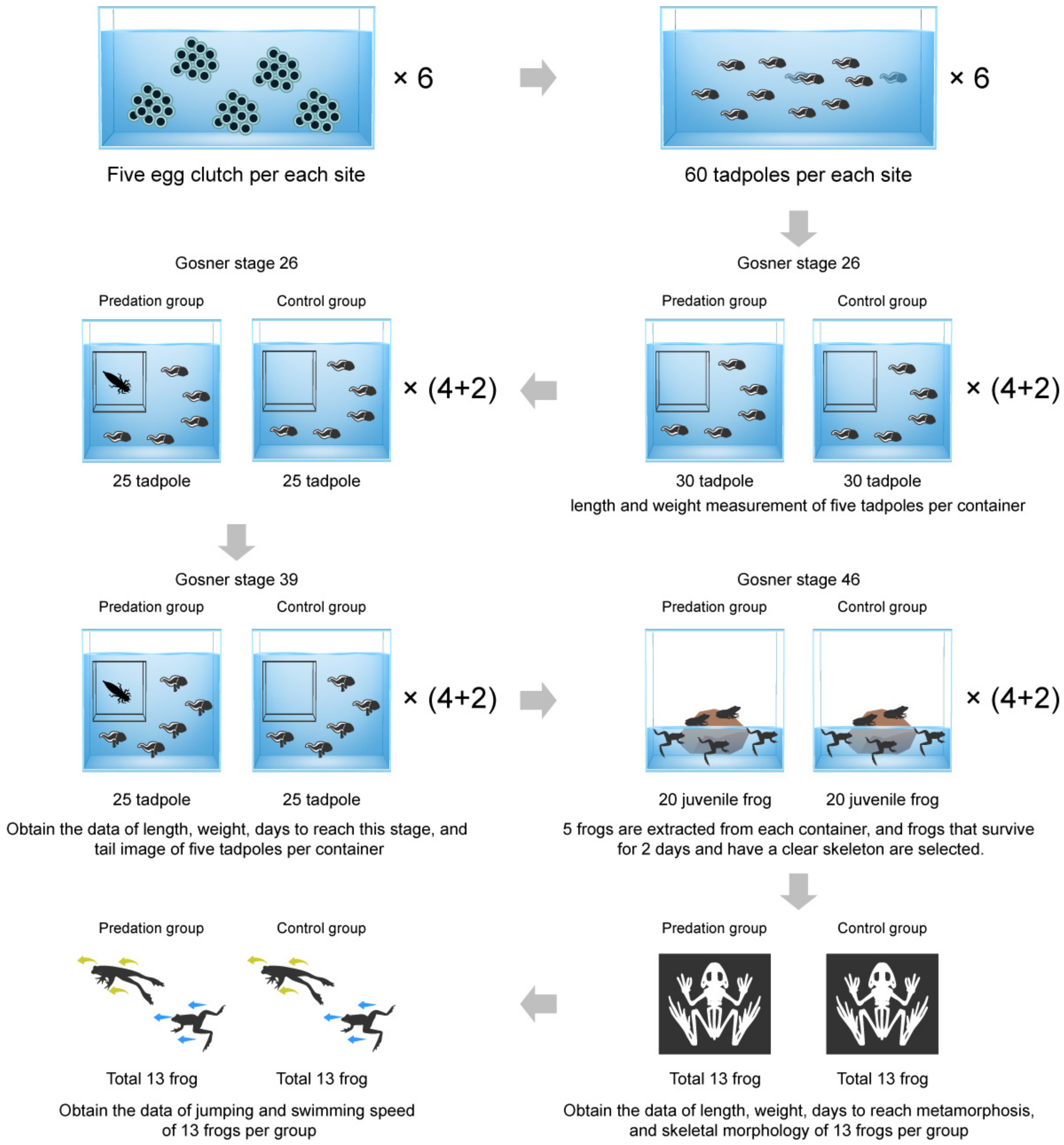 Biology 12 00341 g002