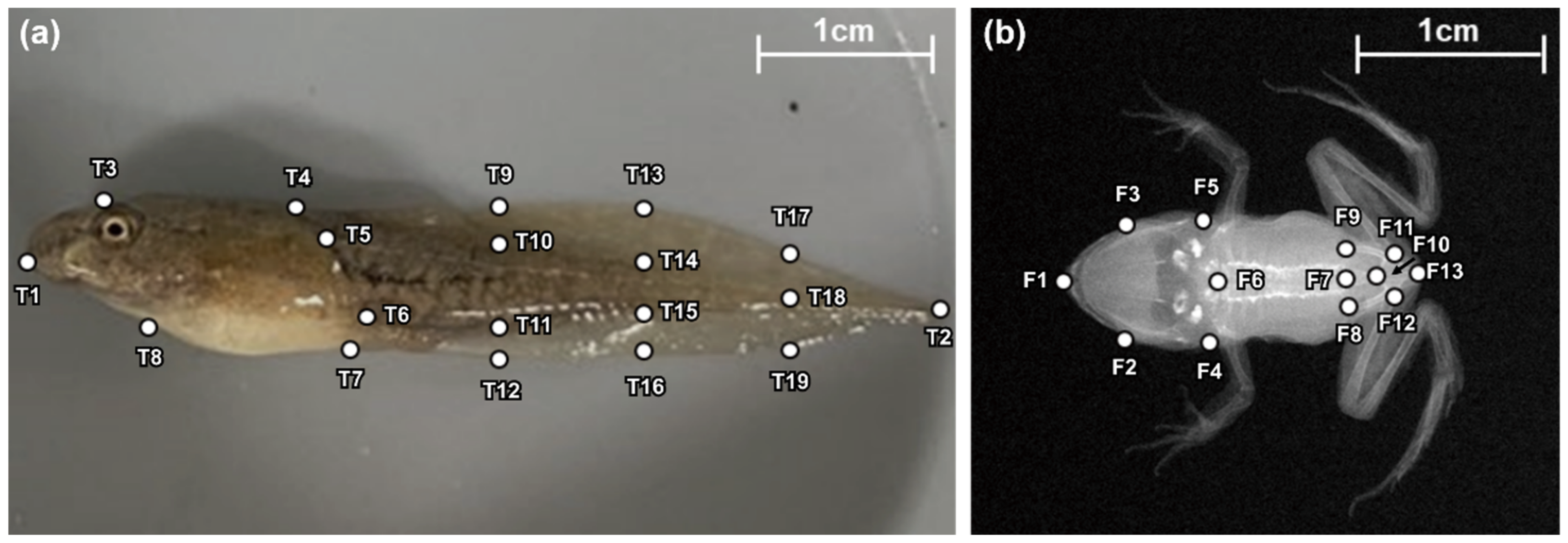Biology 12 00341 g003