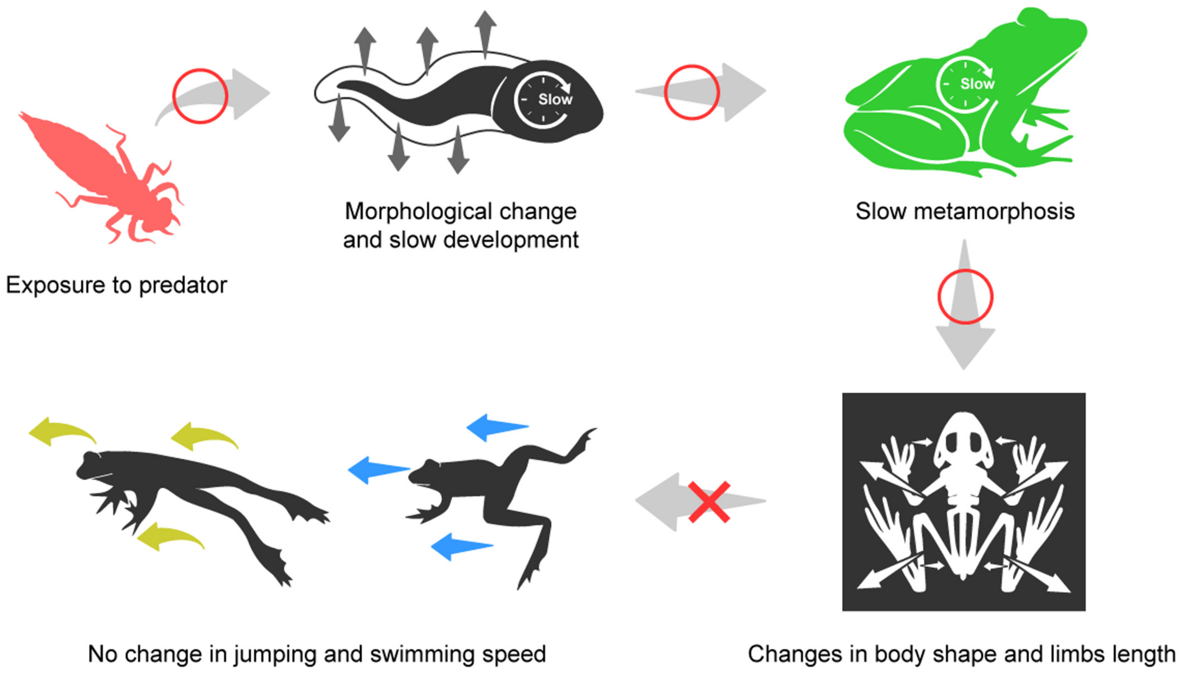 Biology 12 00341 g007