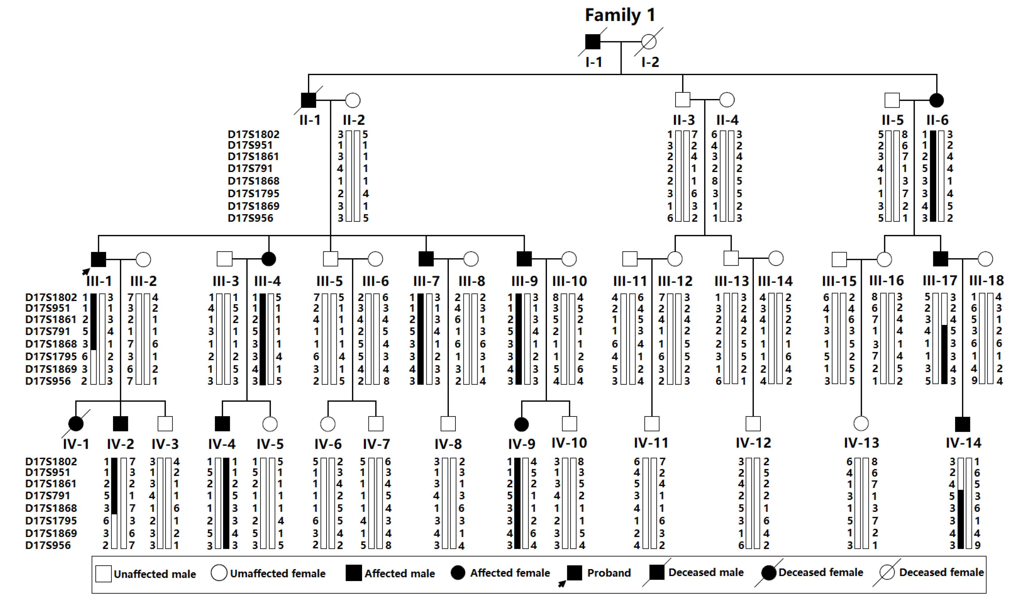 Jose Reyes Lopez  Systems, Synthetic, and Quantitative Biology