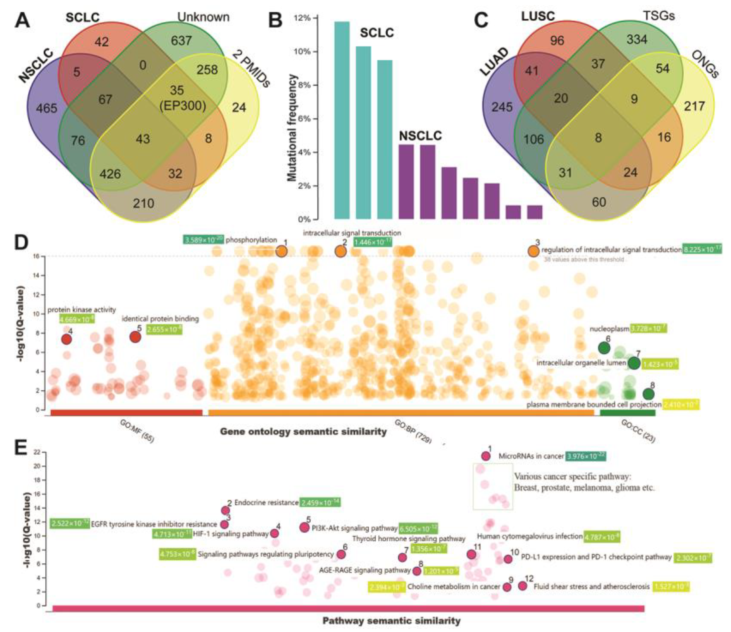 Biology 12 00357 g003 Biology 12 00357 g003