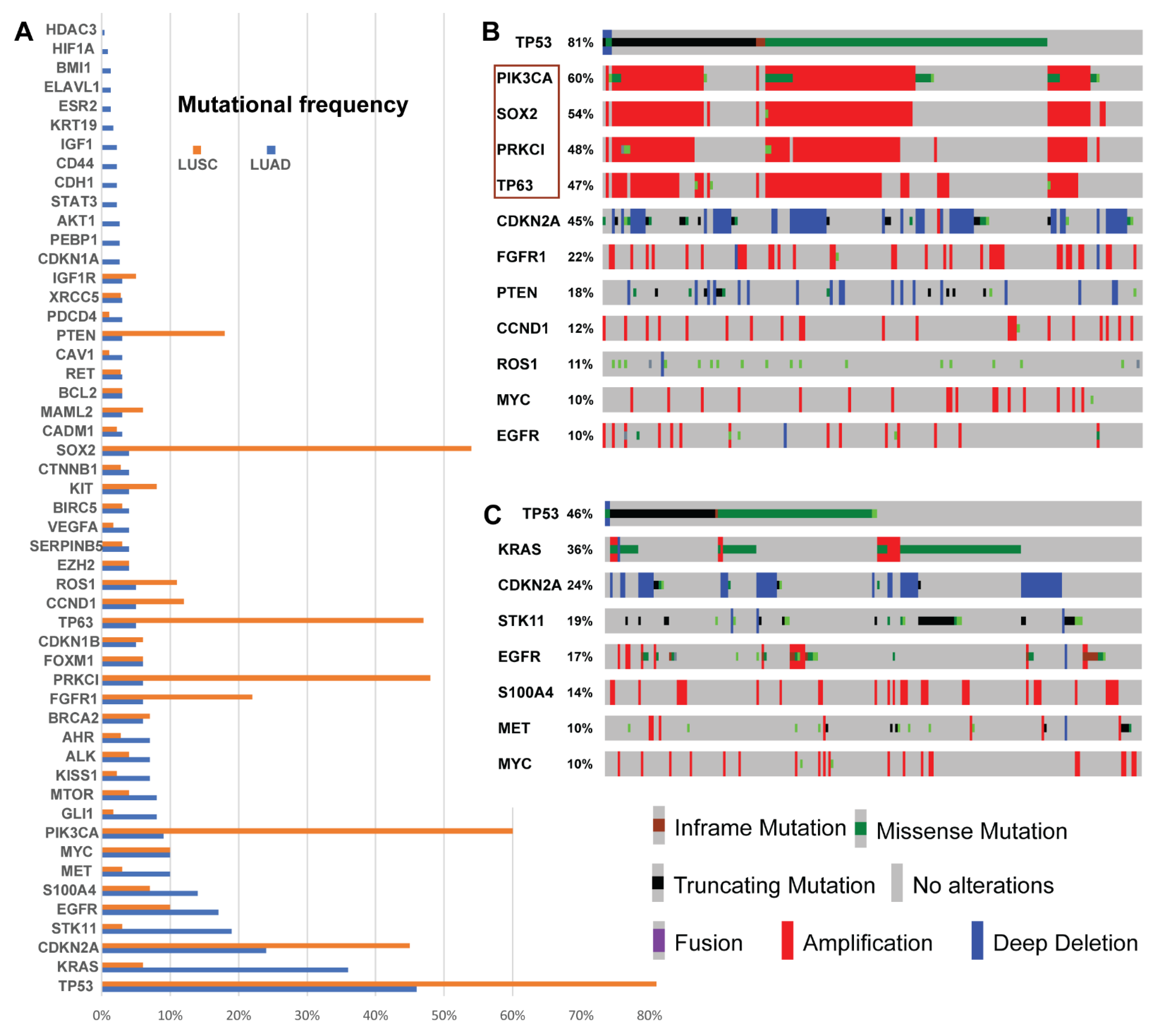 Biology 12 00357 g004 Biology 12 00357 g004