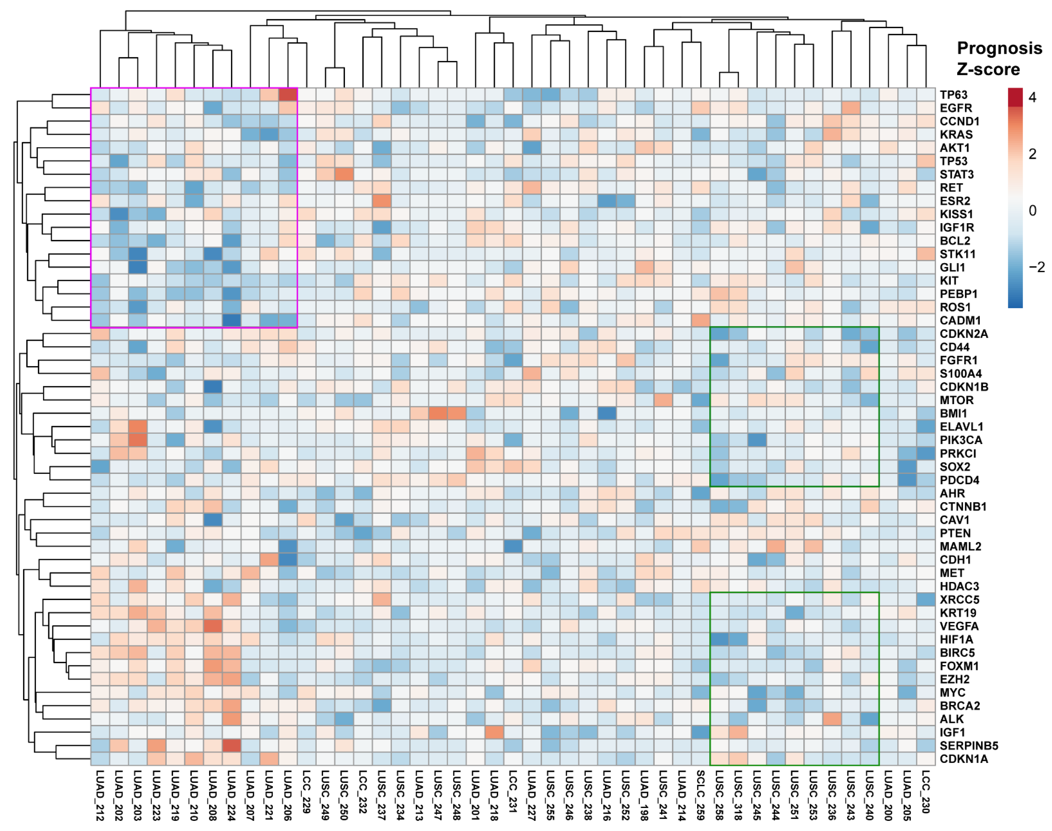 Biology 12 00357 g005 Biology 12 00357 g005