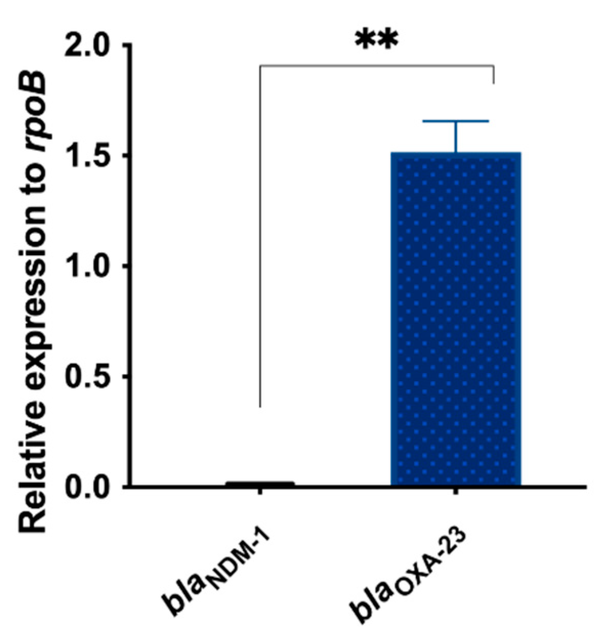 Biology 12 00358 g004