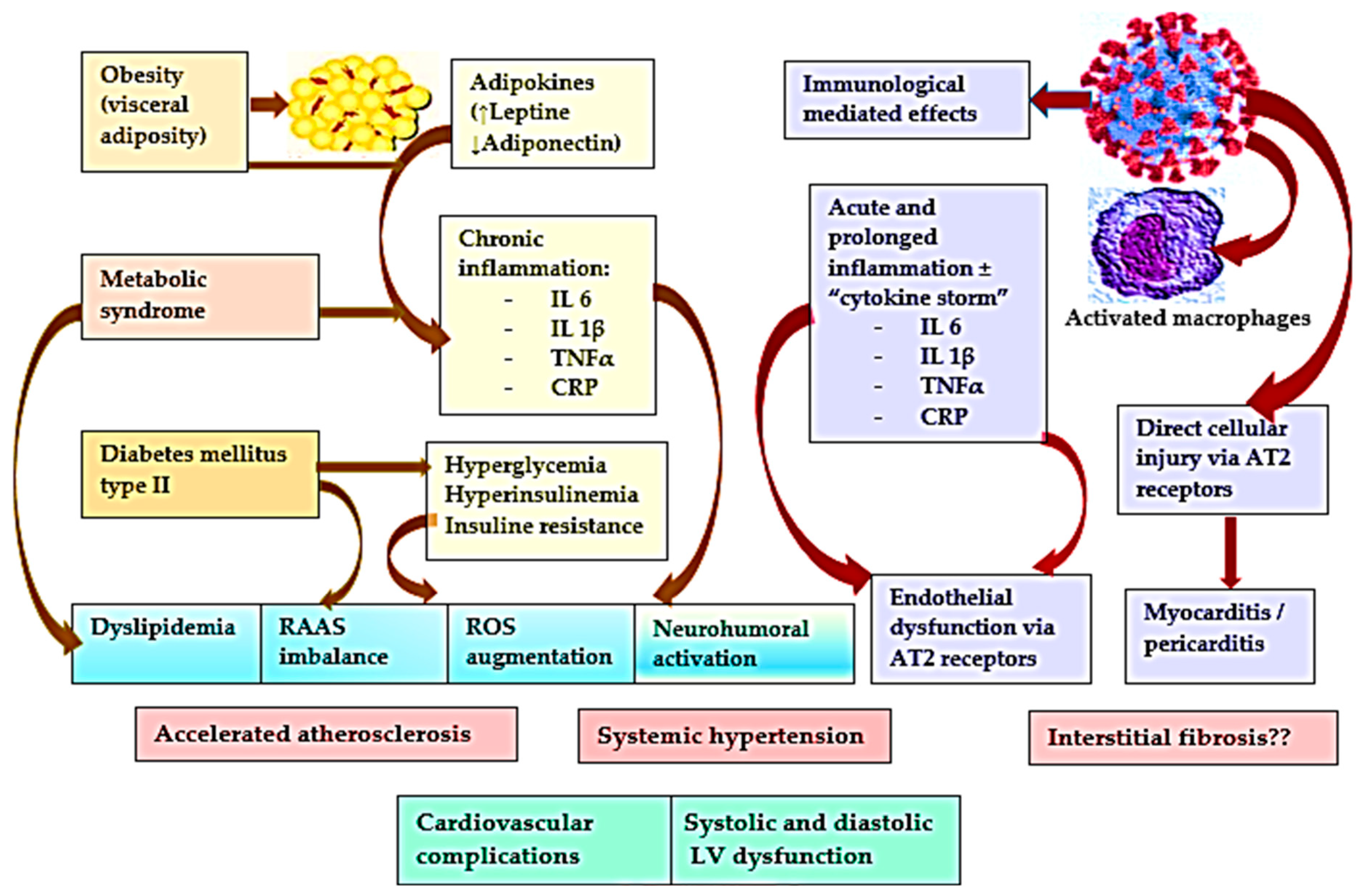 Biology 12 00370 g001 Biology 12 00370 g001