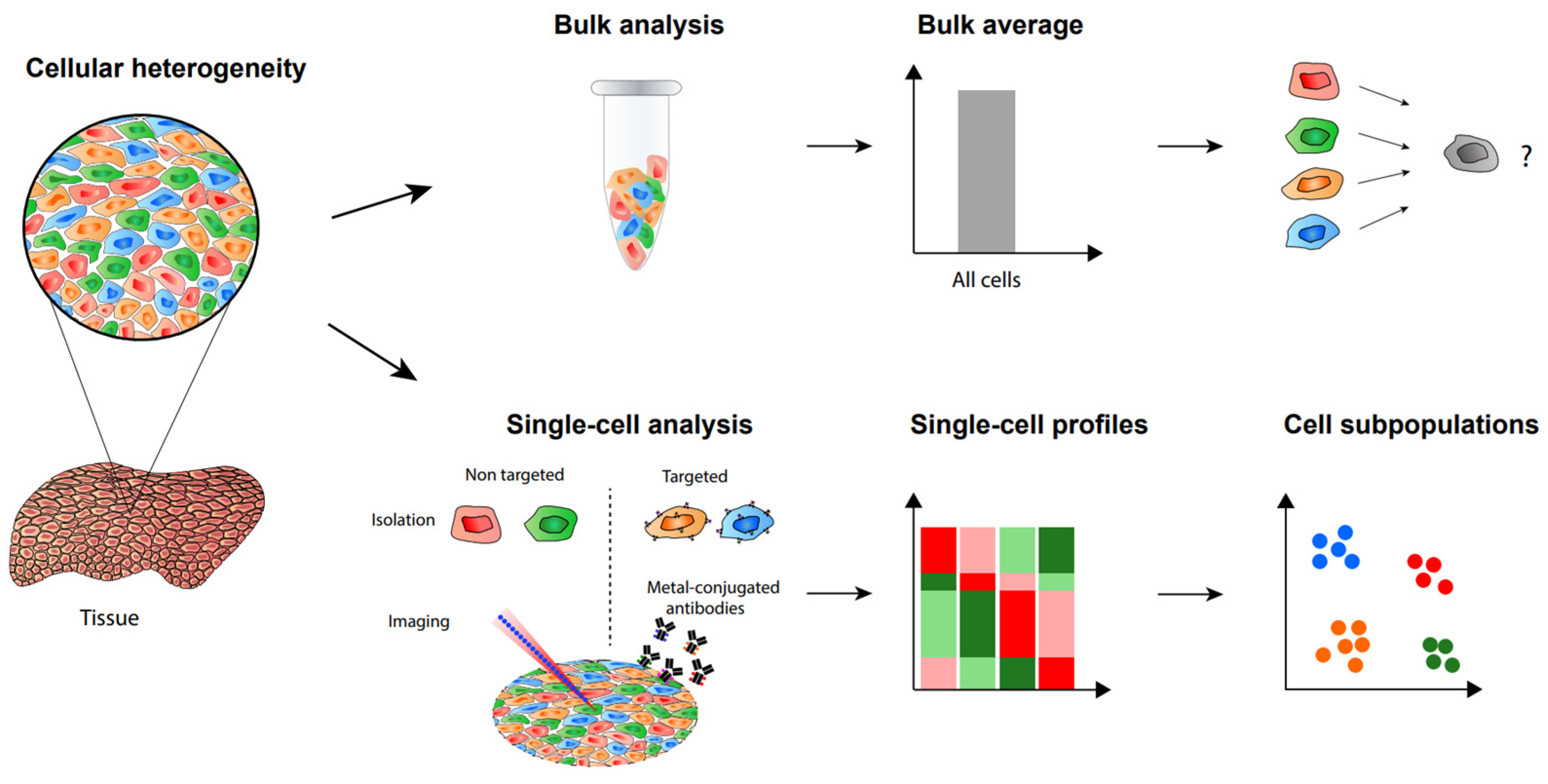 Tunable Single-Cell Extraction for Molecular Analyses: Cell
