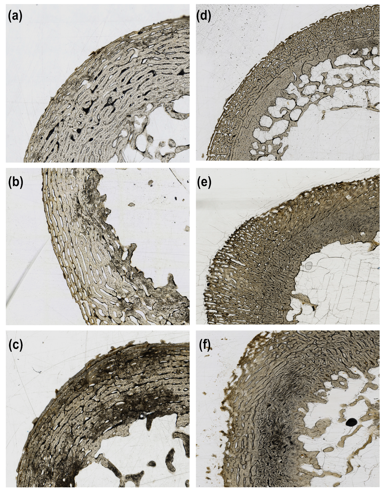 Biology 12 00403 g002 Biology 12 00403 g002