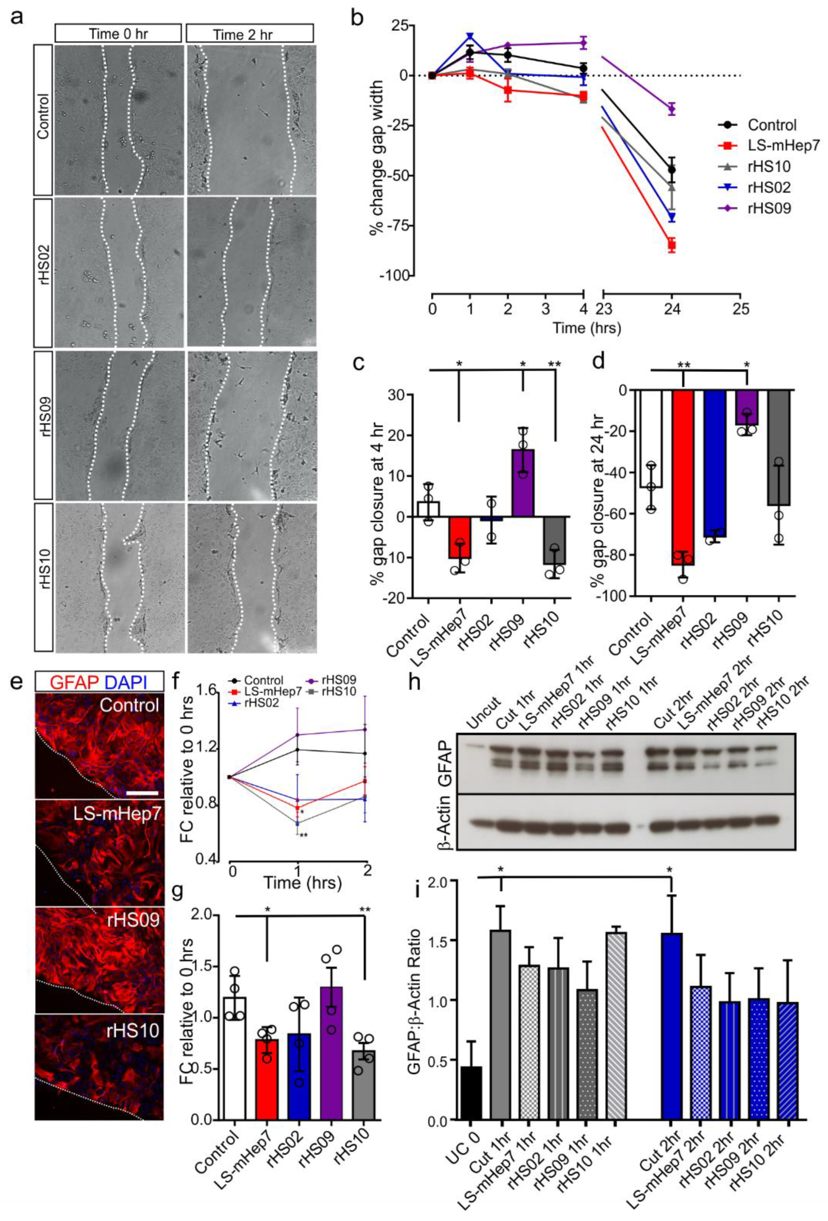 Biology 12 00407 g004 Biology 12 00407 g004