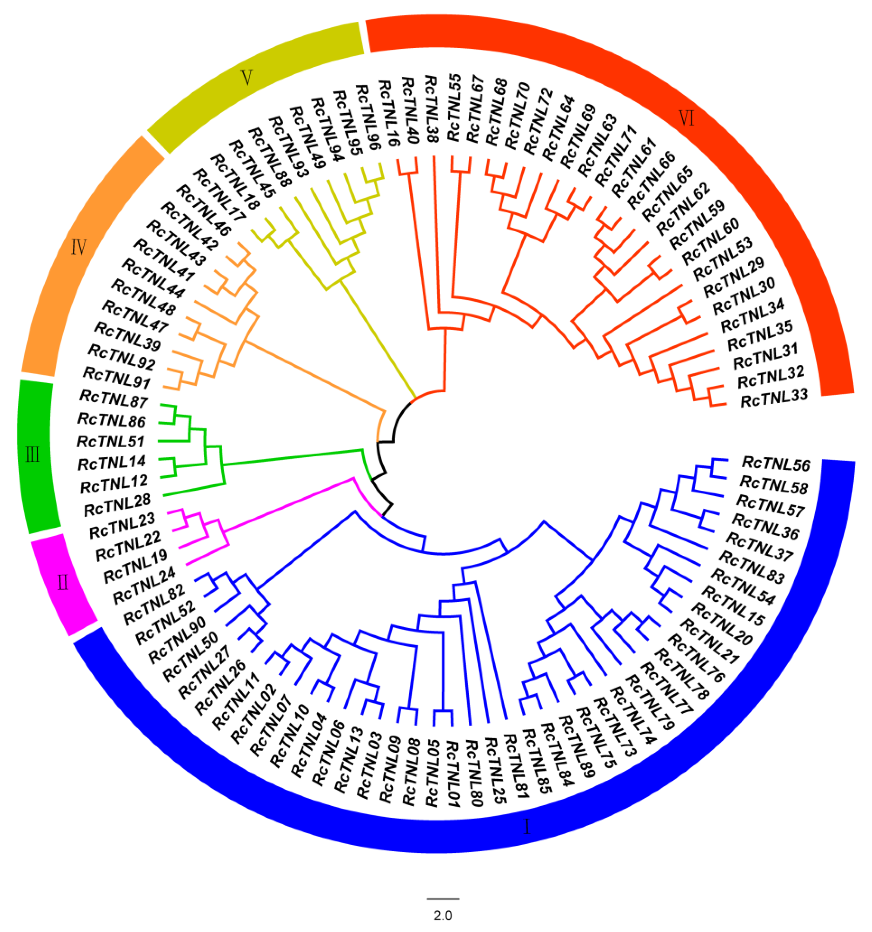 Biology 12 00426 g002