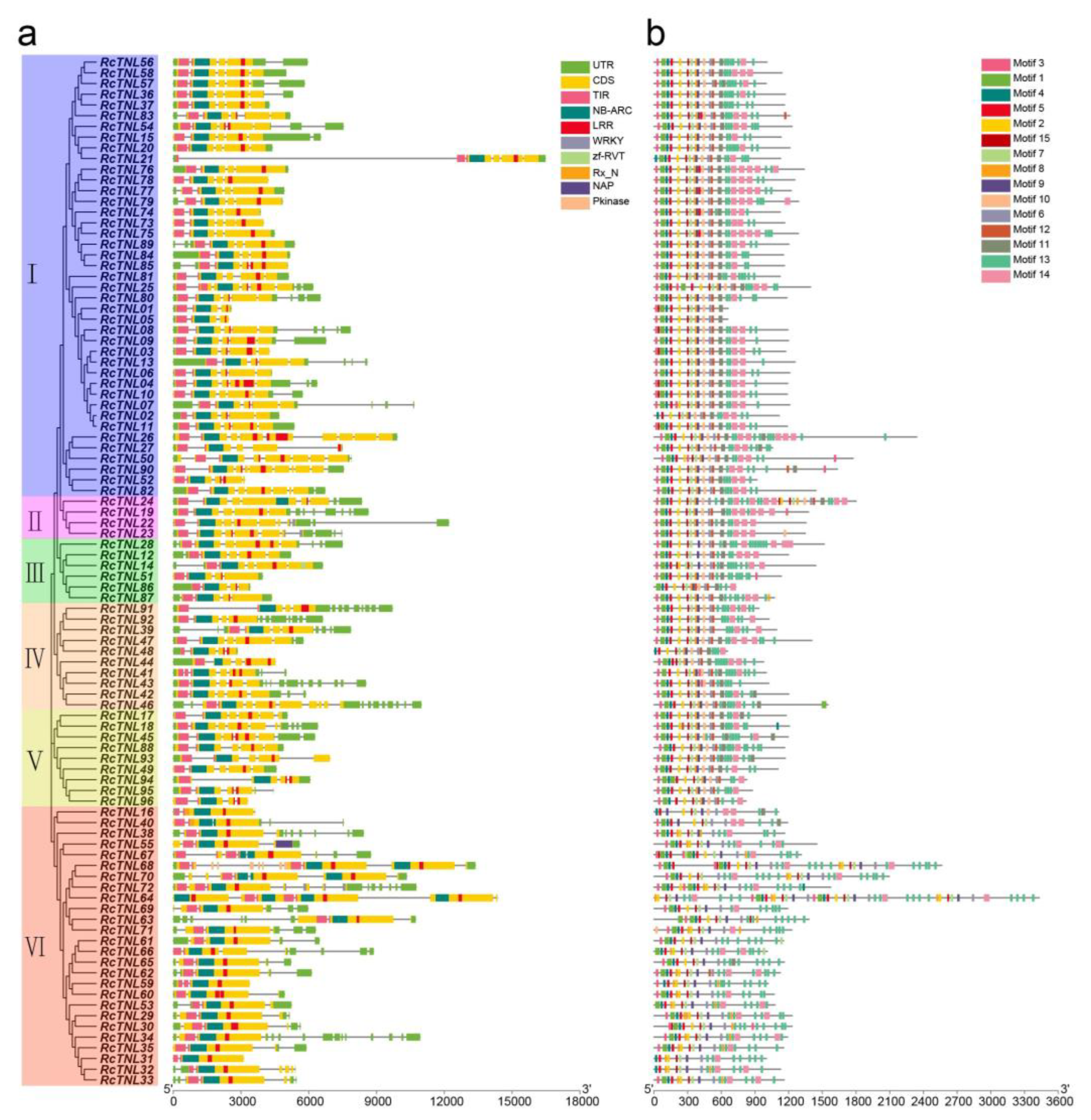 Biology 12 00426 g003