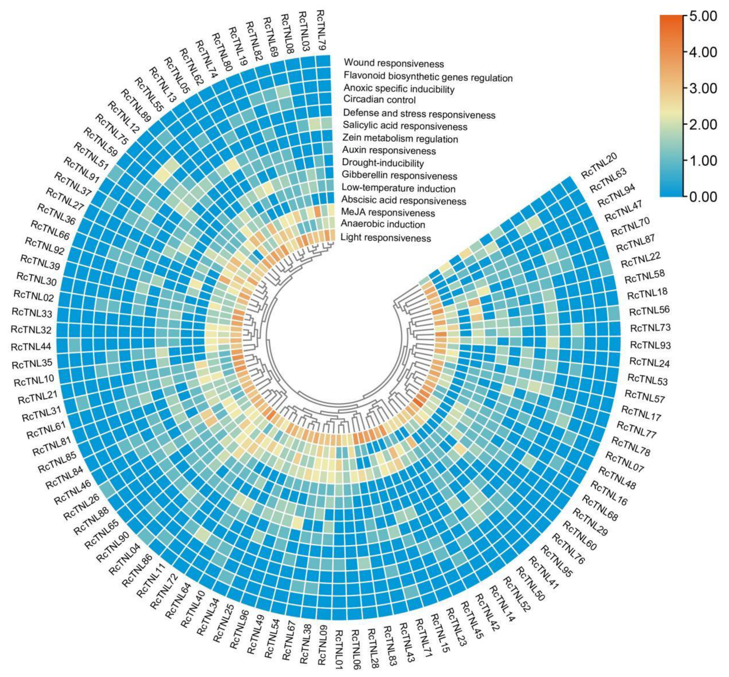 Biology 12 00426 g004