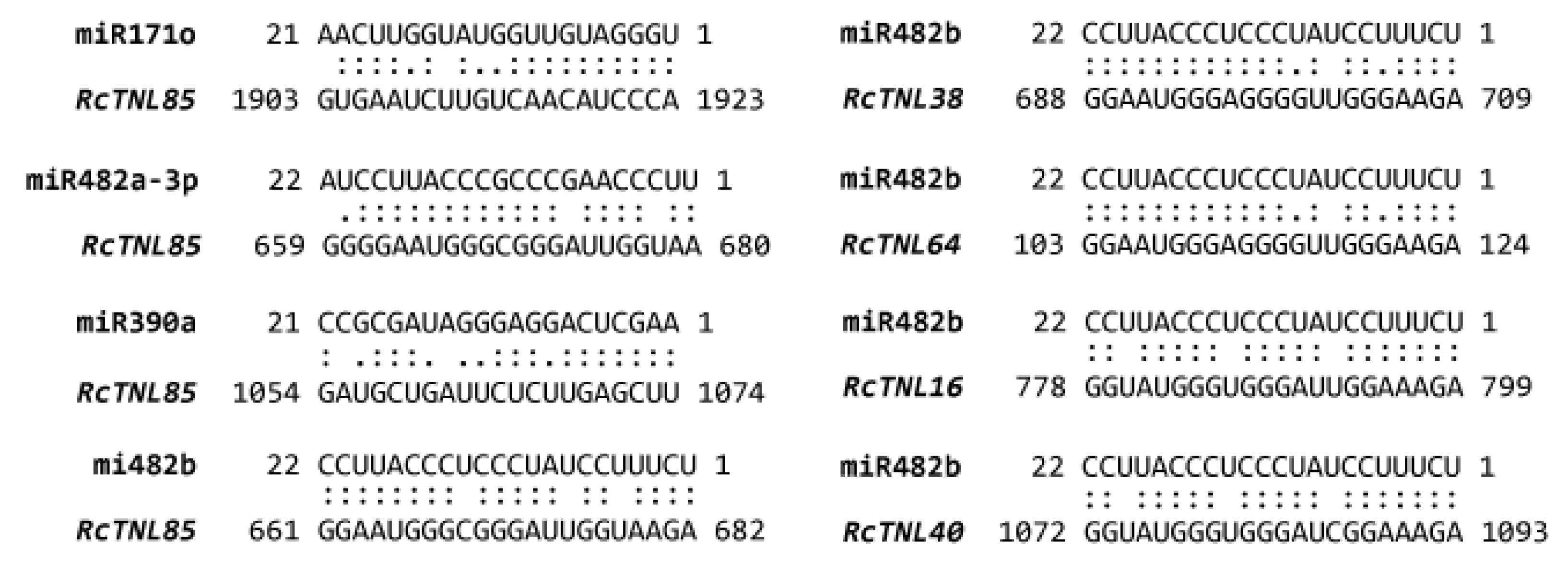 Biology 12 00426 g005