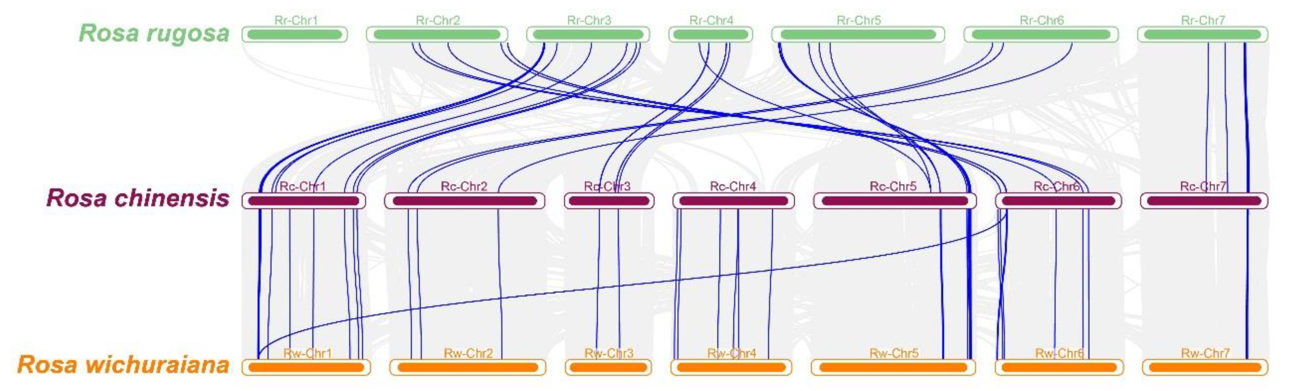 Biology 12 00426 g006