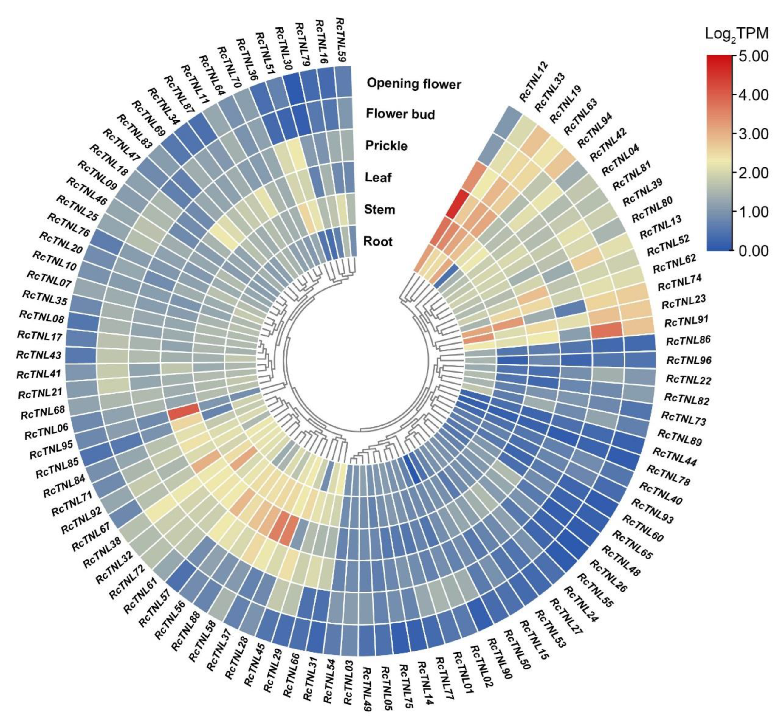 Biology 12 00426 g007