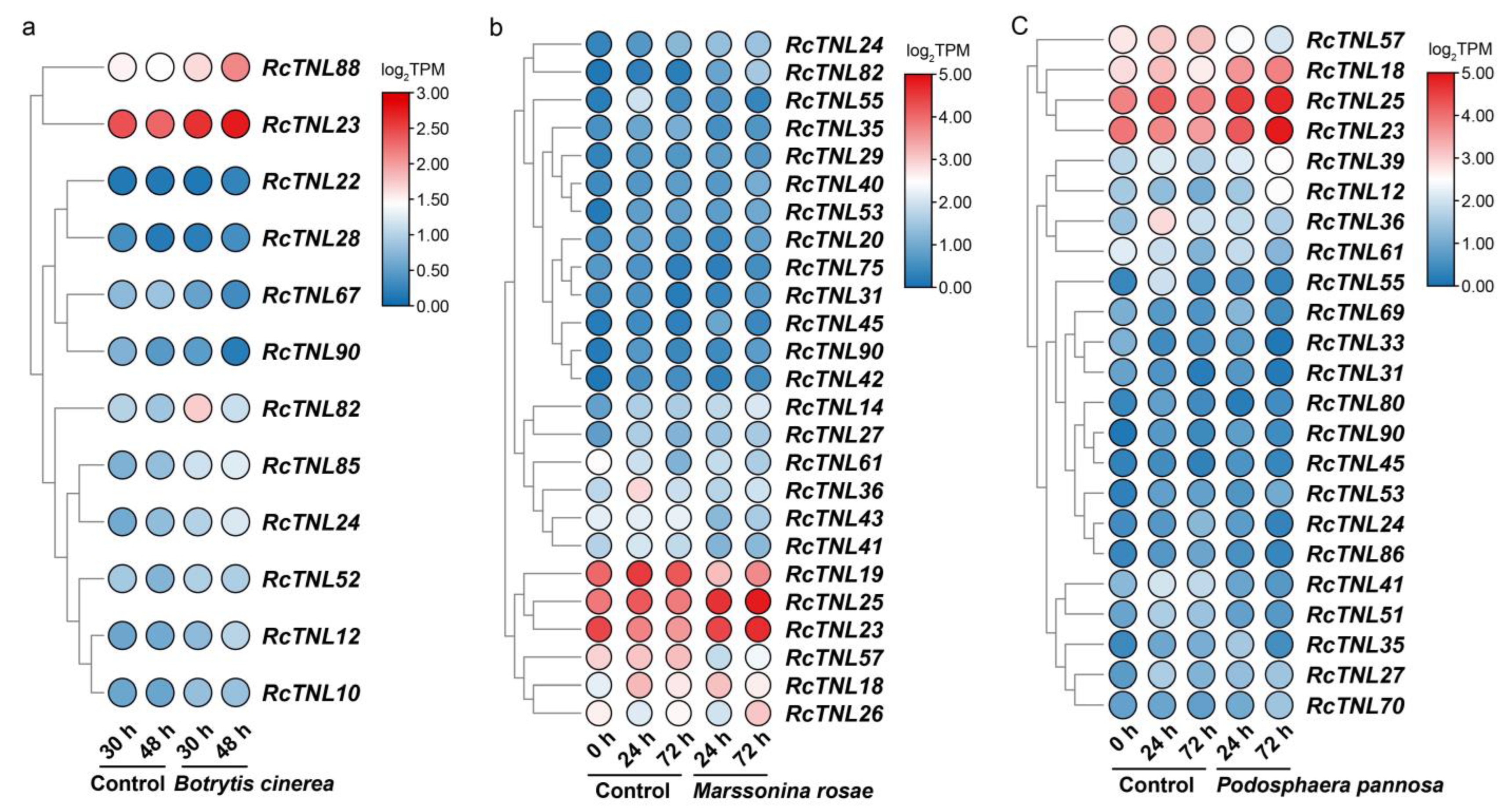 Biology 12 00426 g009