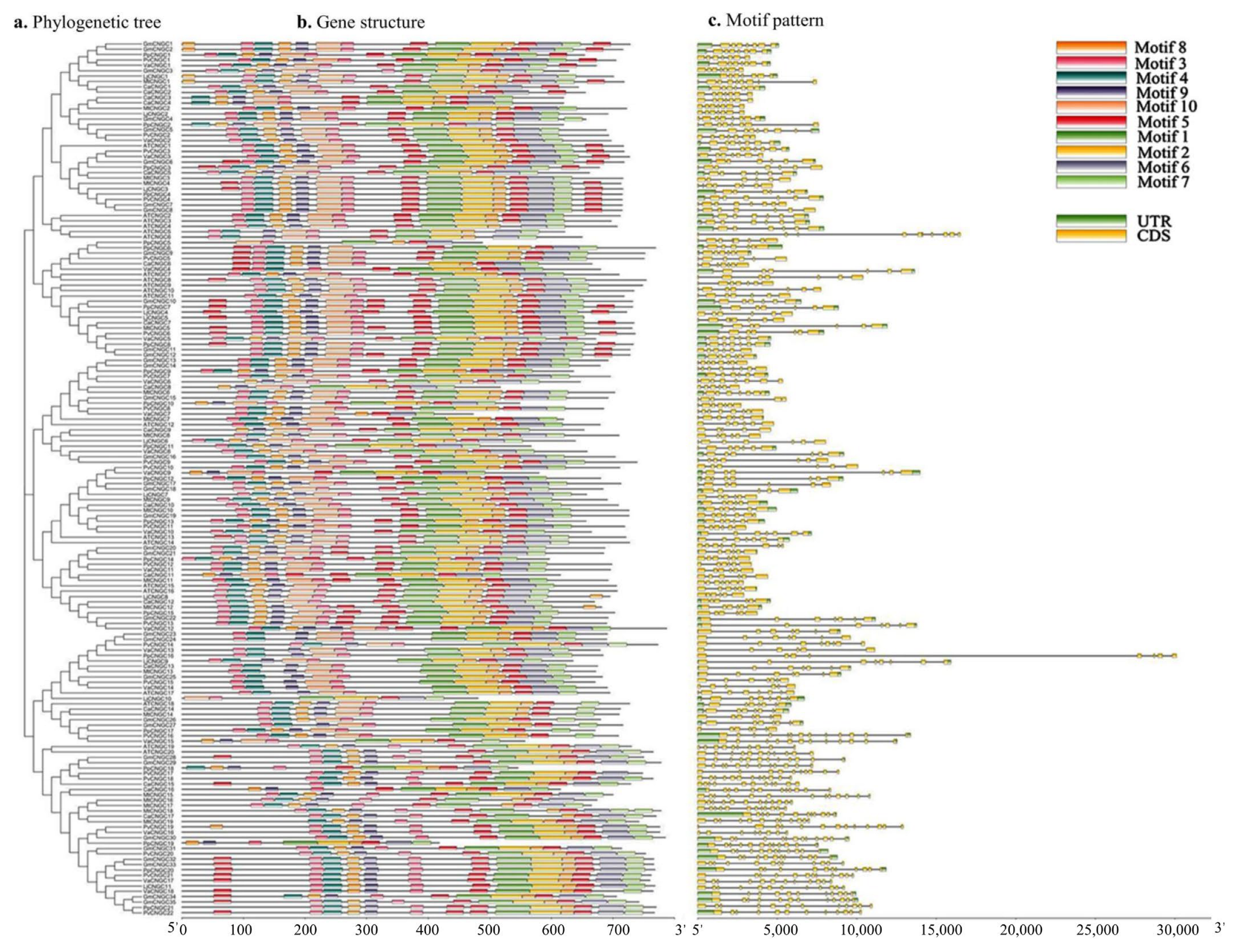 Biology 12 00439 g003