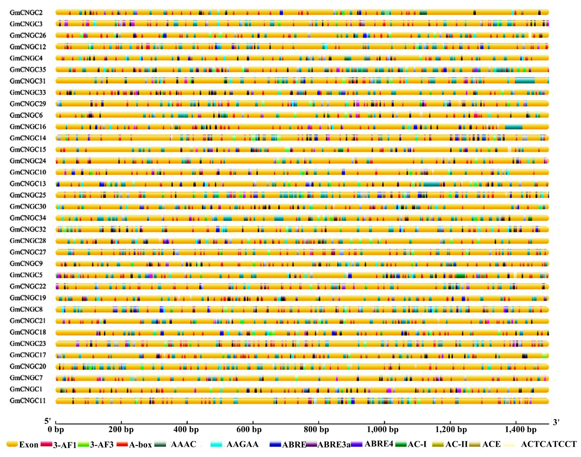 Biology 12 00439 g005