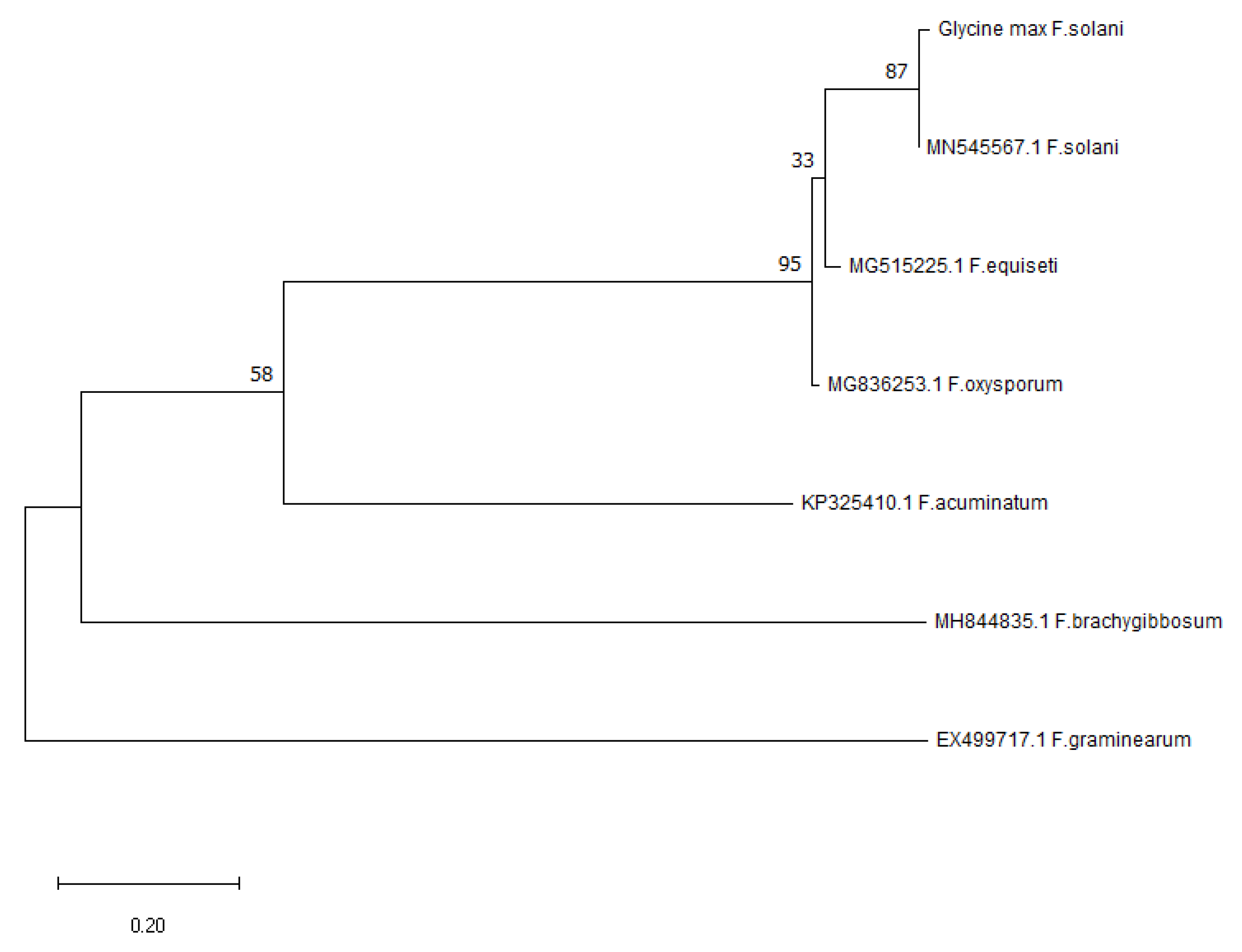 Biology 12 00439 g008