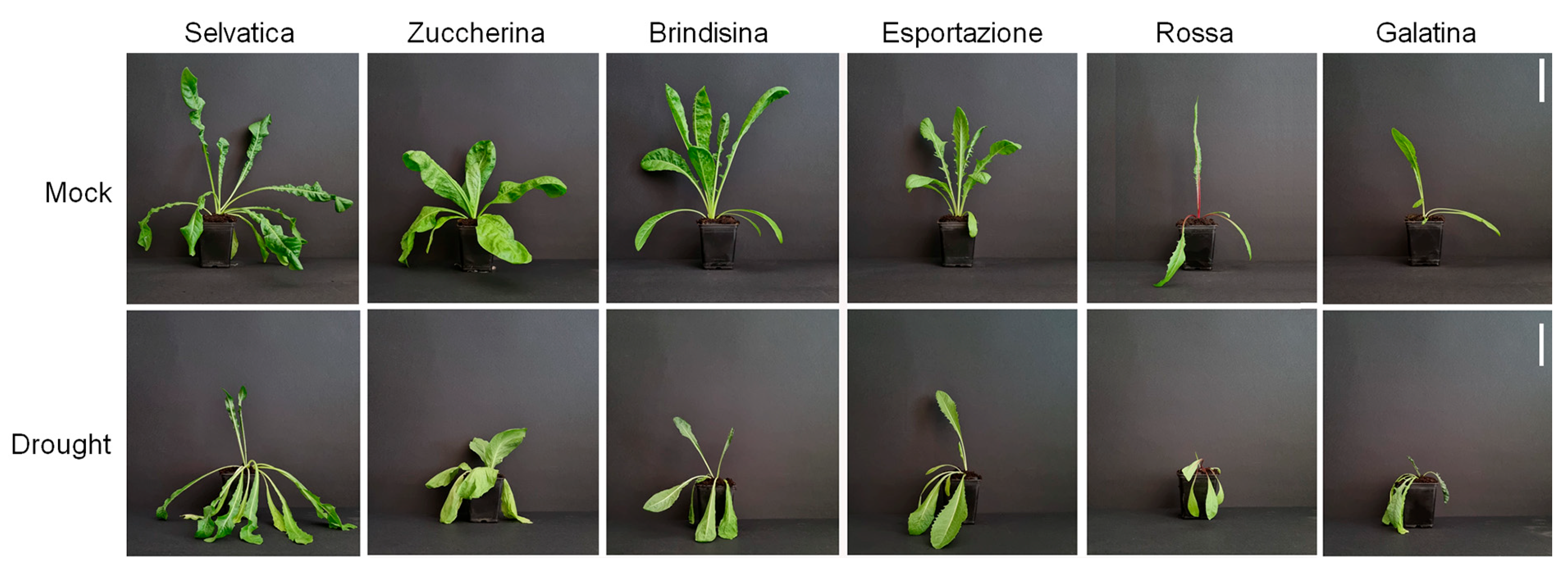 Biology 12 00444 g002
