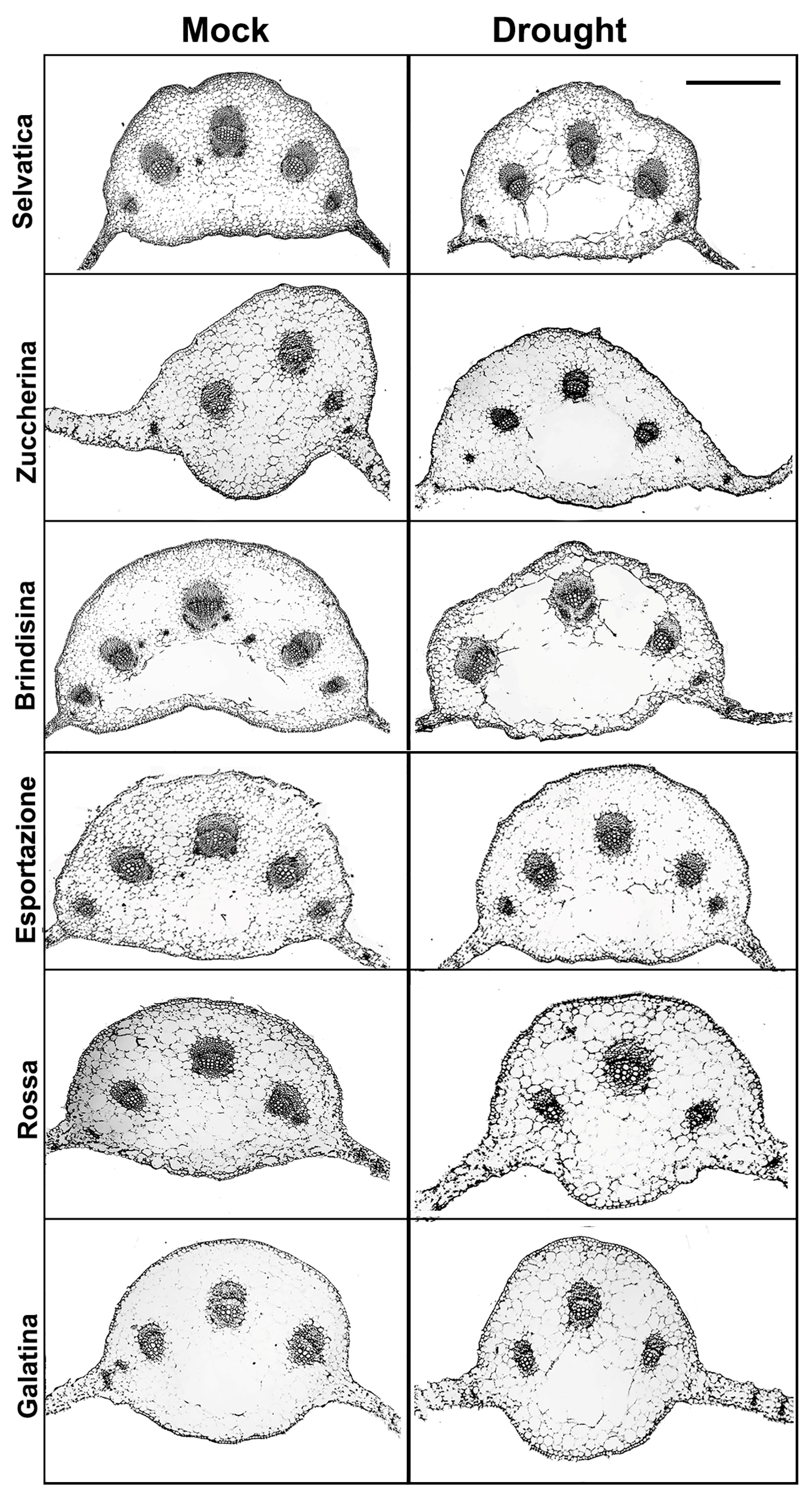 Biology 12 00444 g003