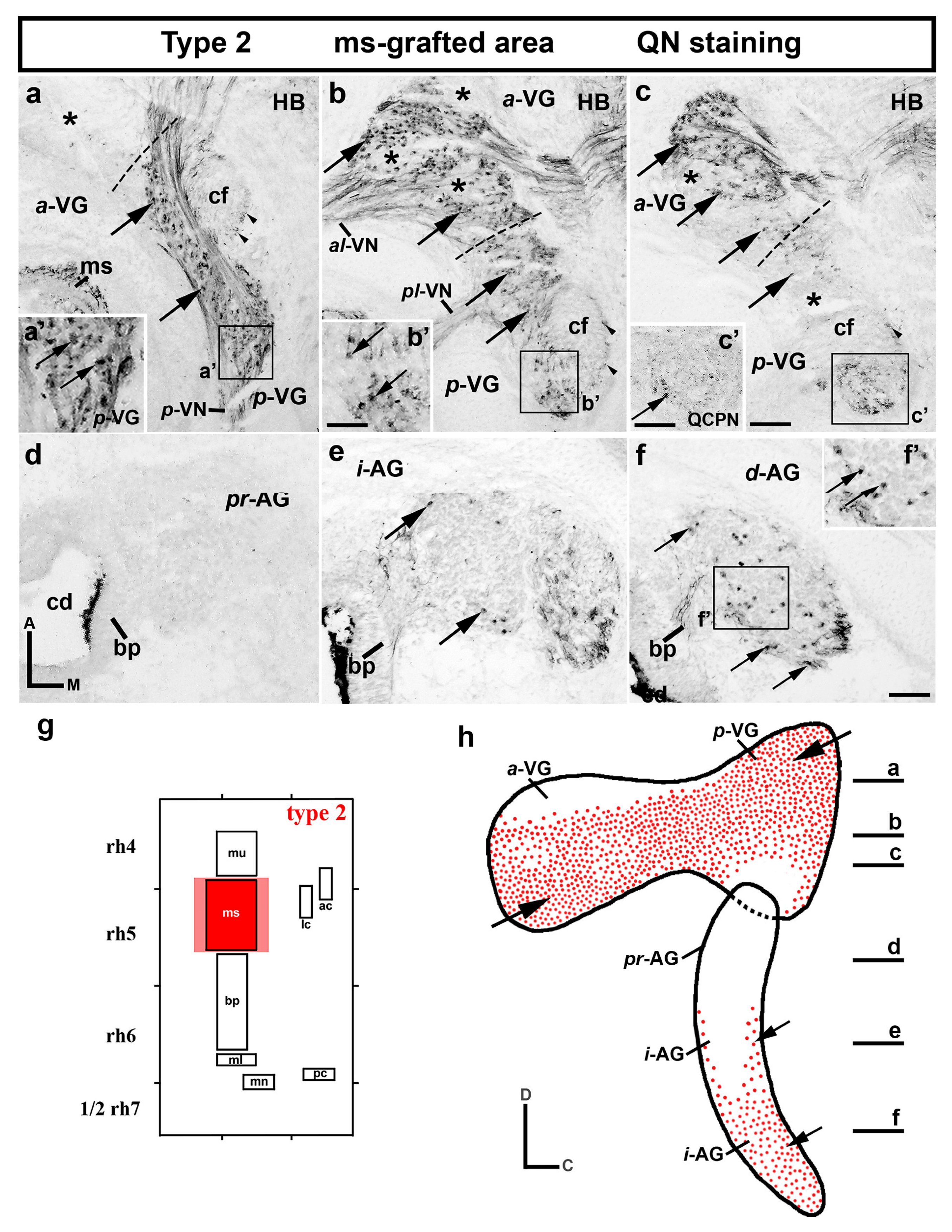 Biology 12 00453 g002