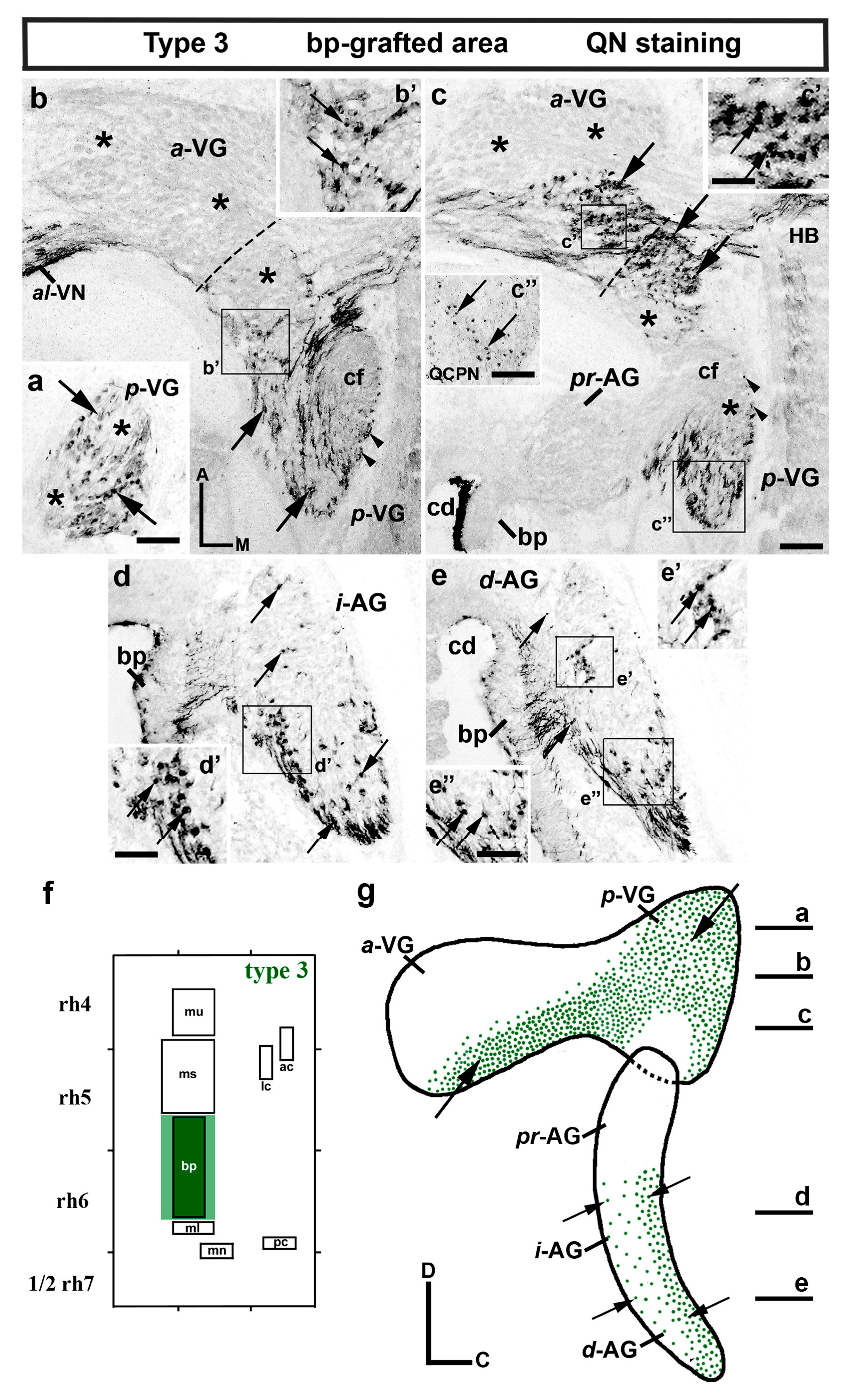 Biology 12 00453 g003