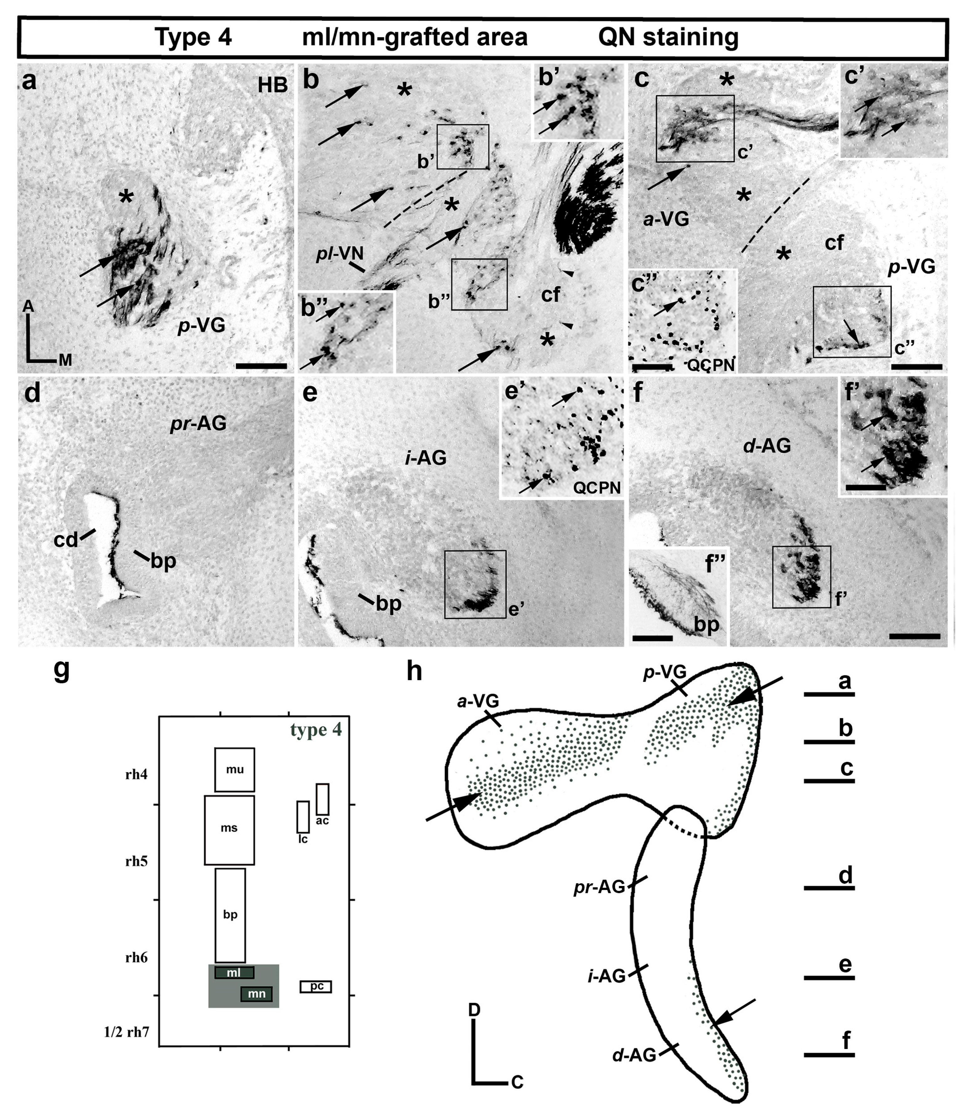 Biology 12 00453 g004