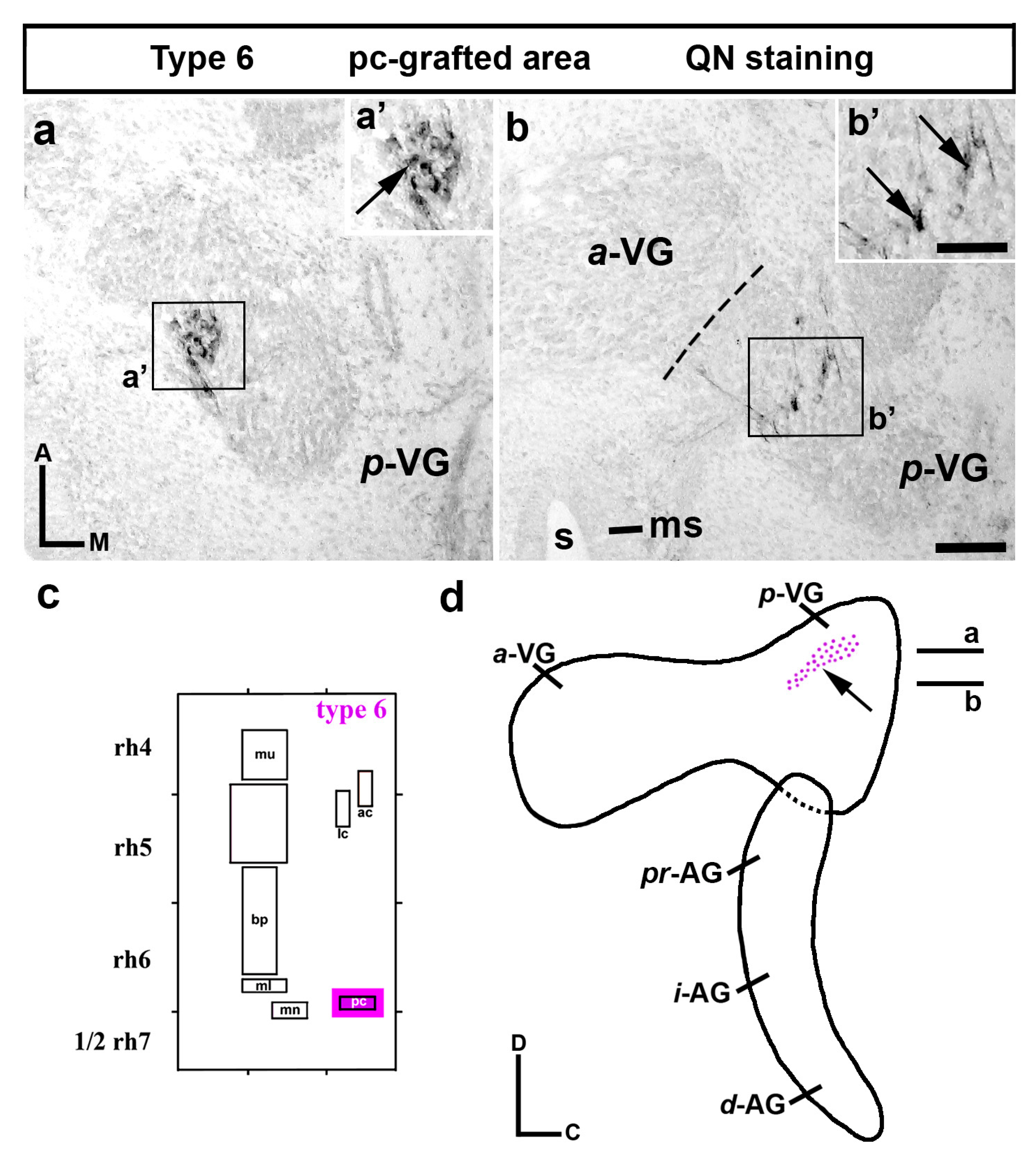 Biology 12 00453 g006