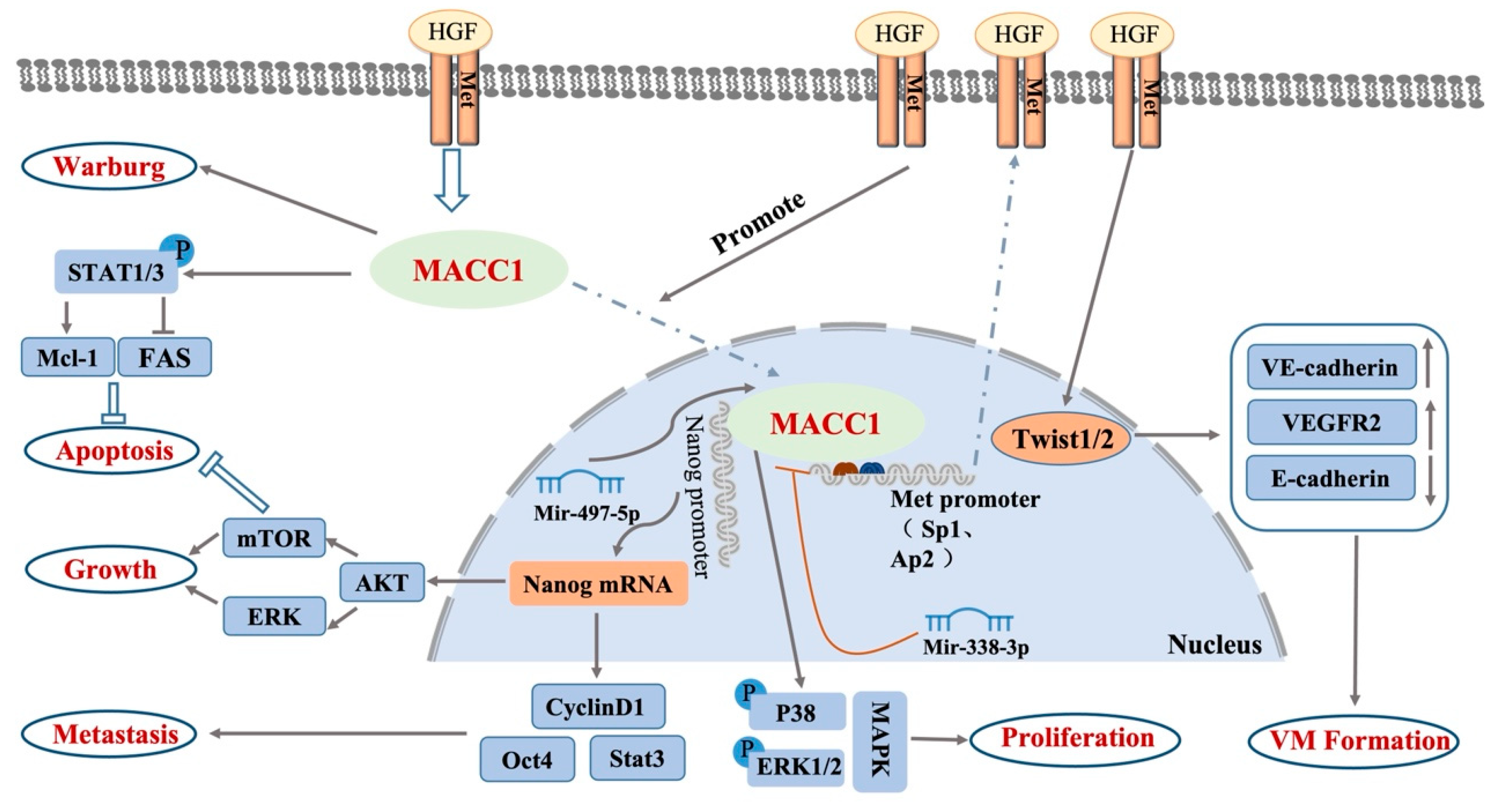Biology 12 00455 g002