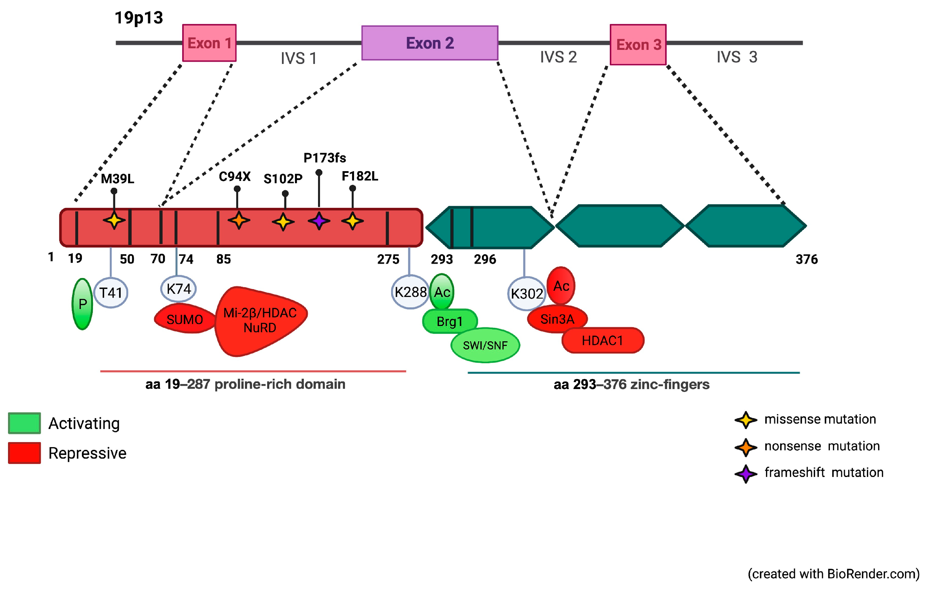 Biology 12 00510 g002 Biology 12 00510 g002