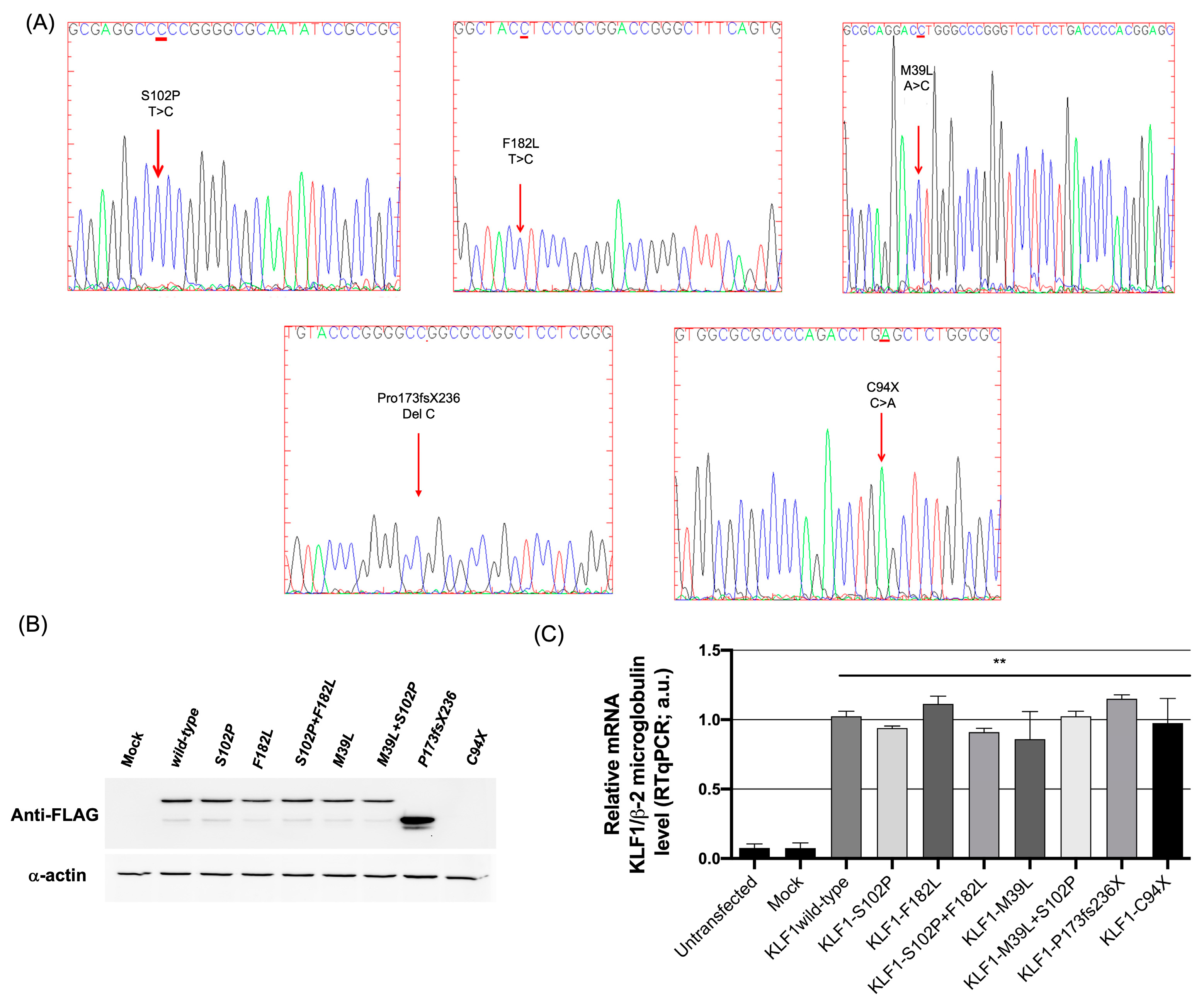 Biology 12 00510 g004 Biology 12 00510 g004