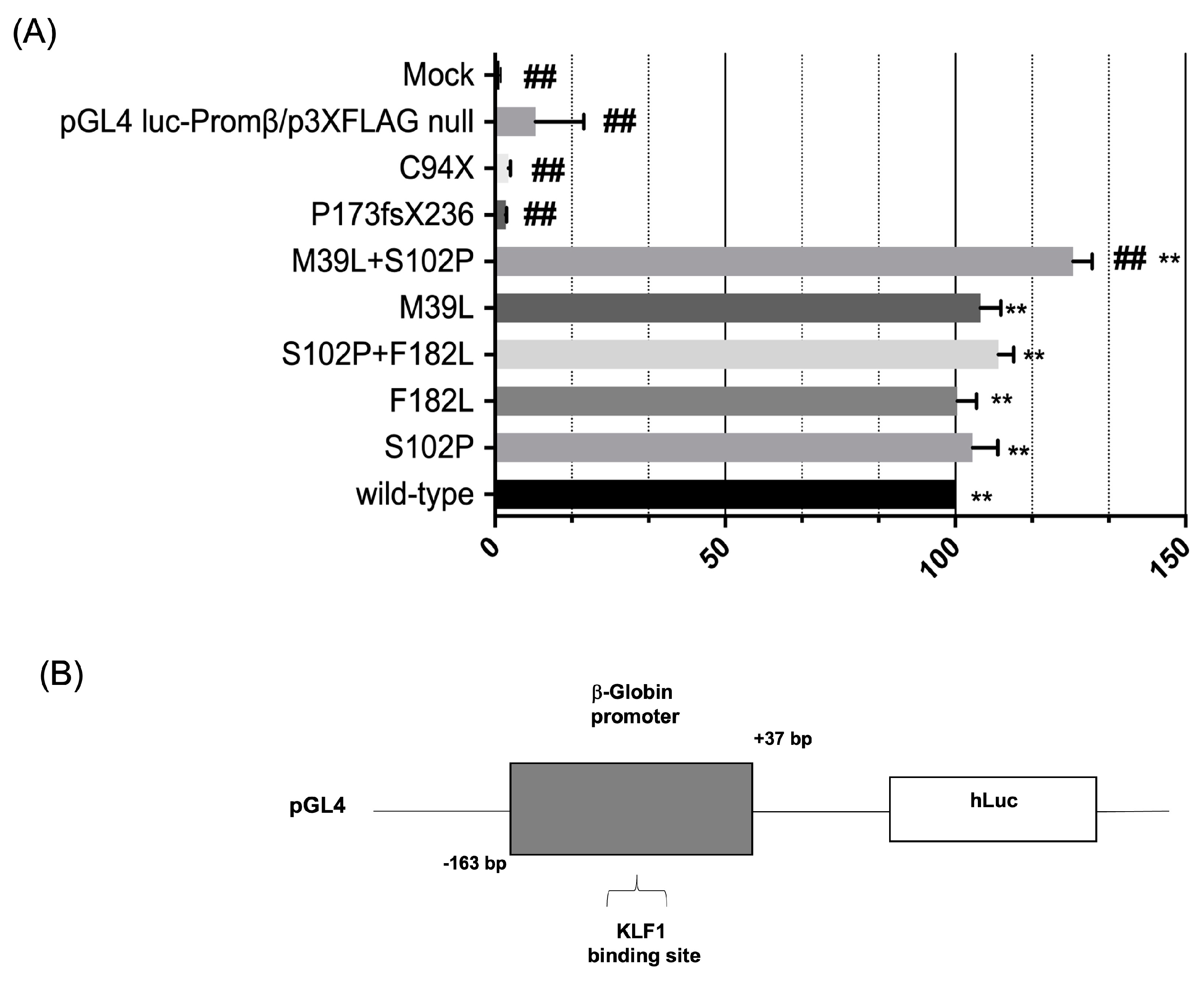 Biology 12 00510 g006 Biology 12 00510 g006