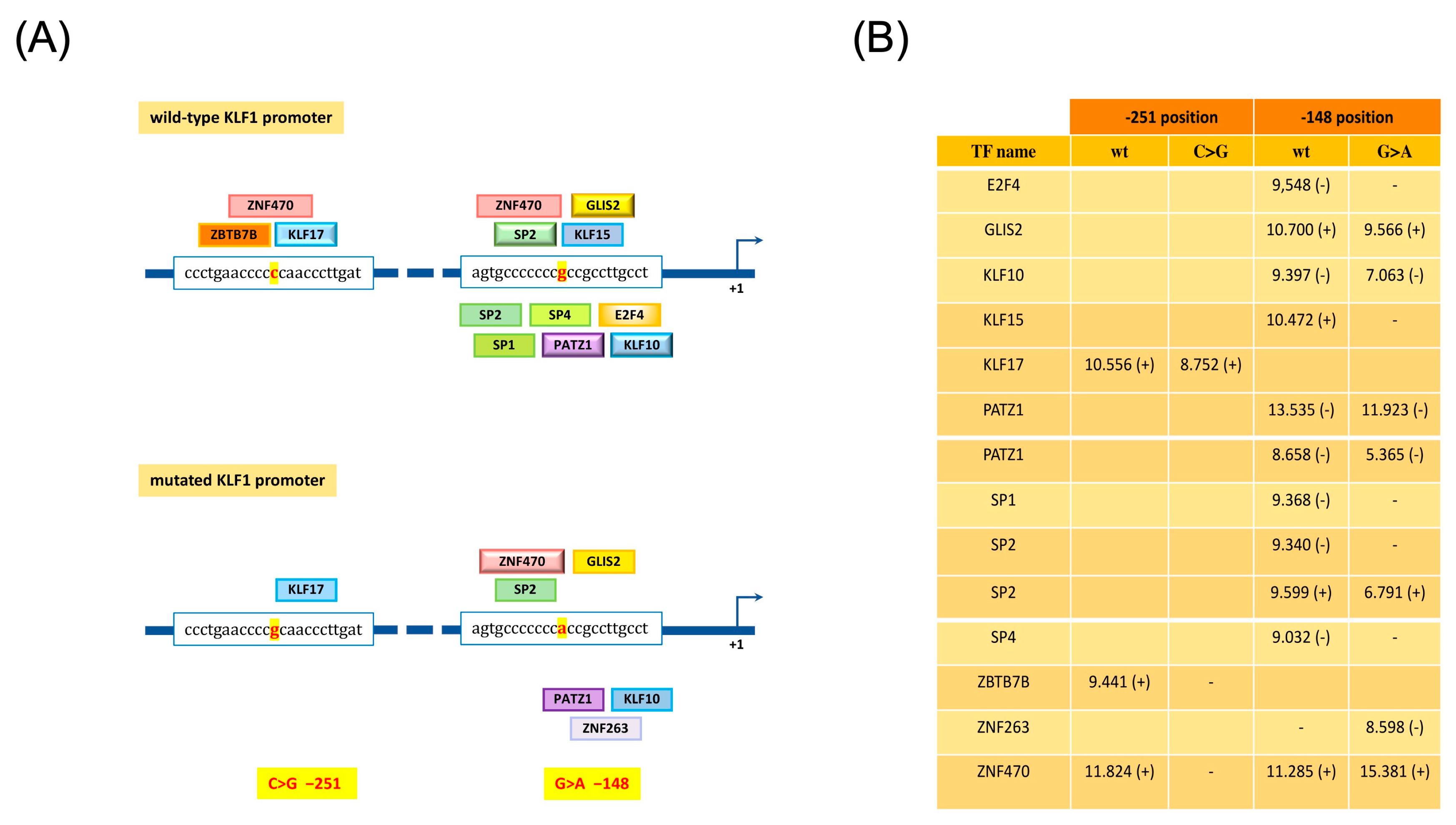 Biology 12 00510 g007 Biology 12 00510 g007