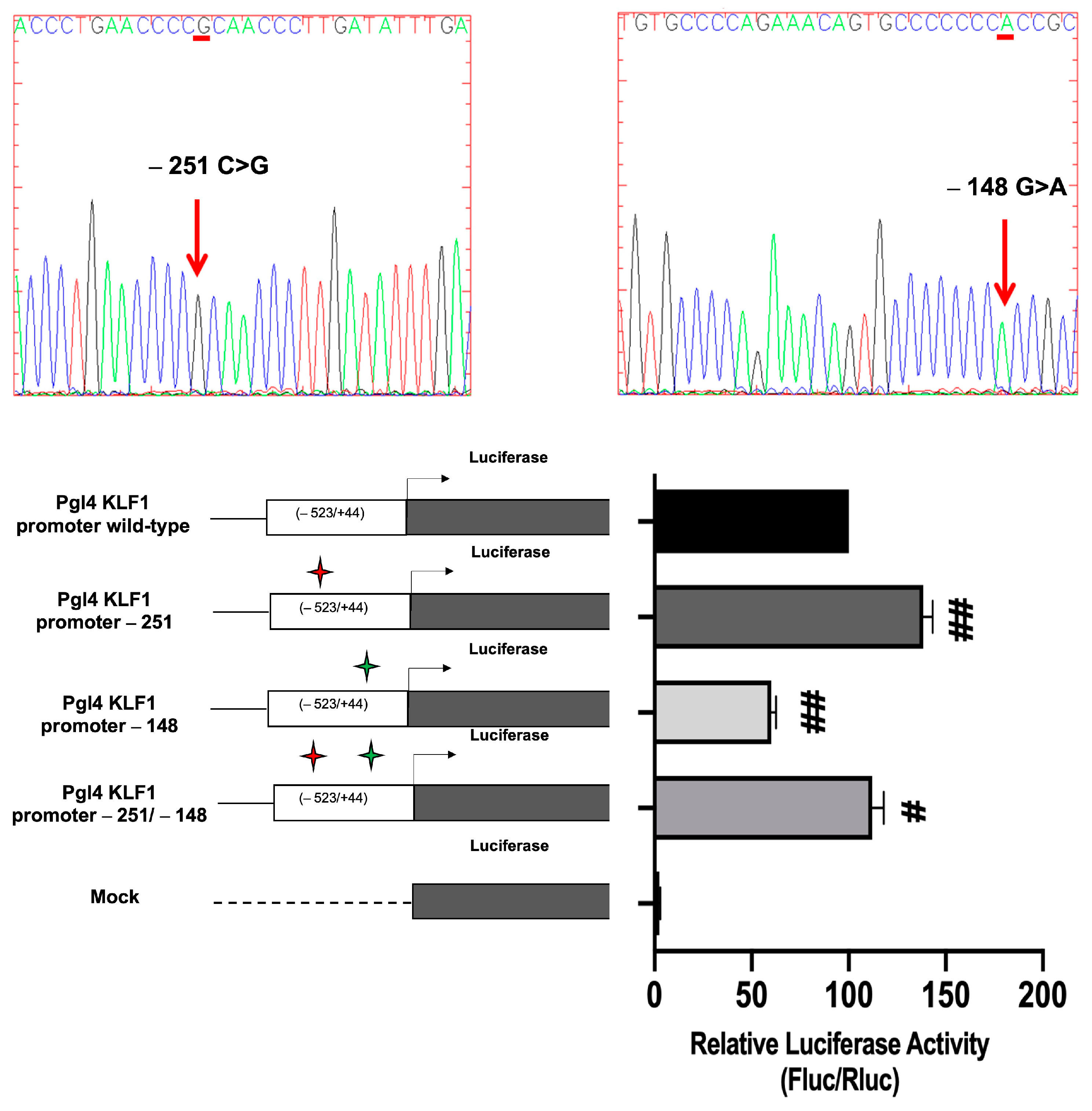 Biology 12 00510 g009 Biology 12 00510 g009