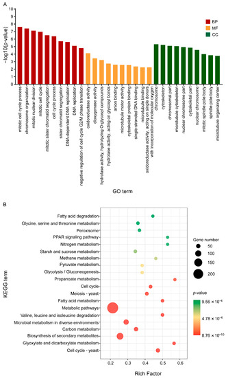 Biology | Free Full-Text | Transcriptome Analysis Reveals That C17 