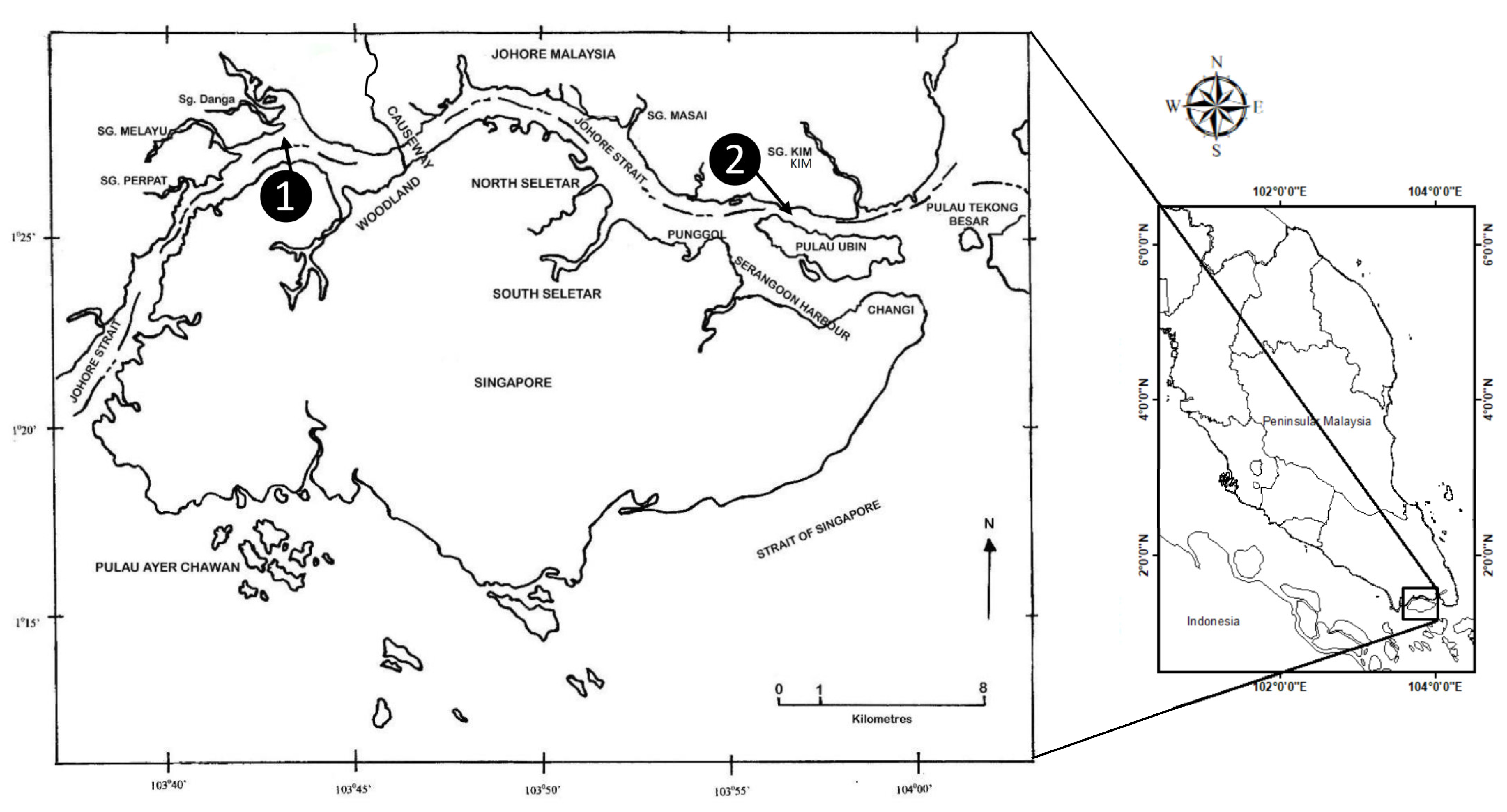 Biology 12 00523 g001