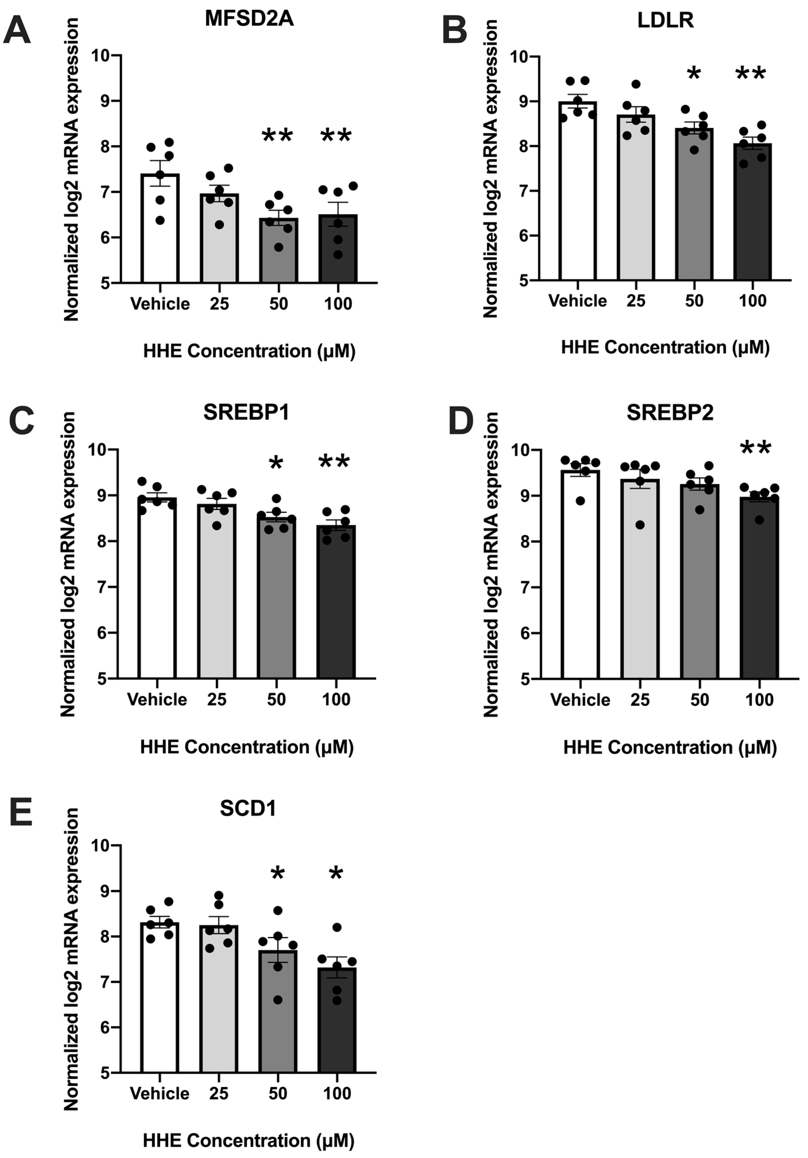 Biology 12 00527 g001
